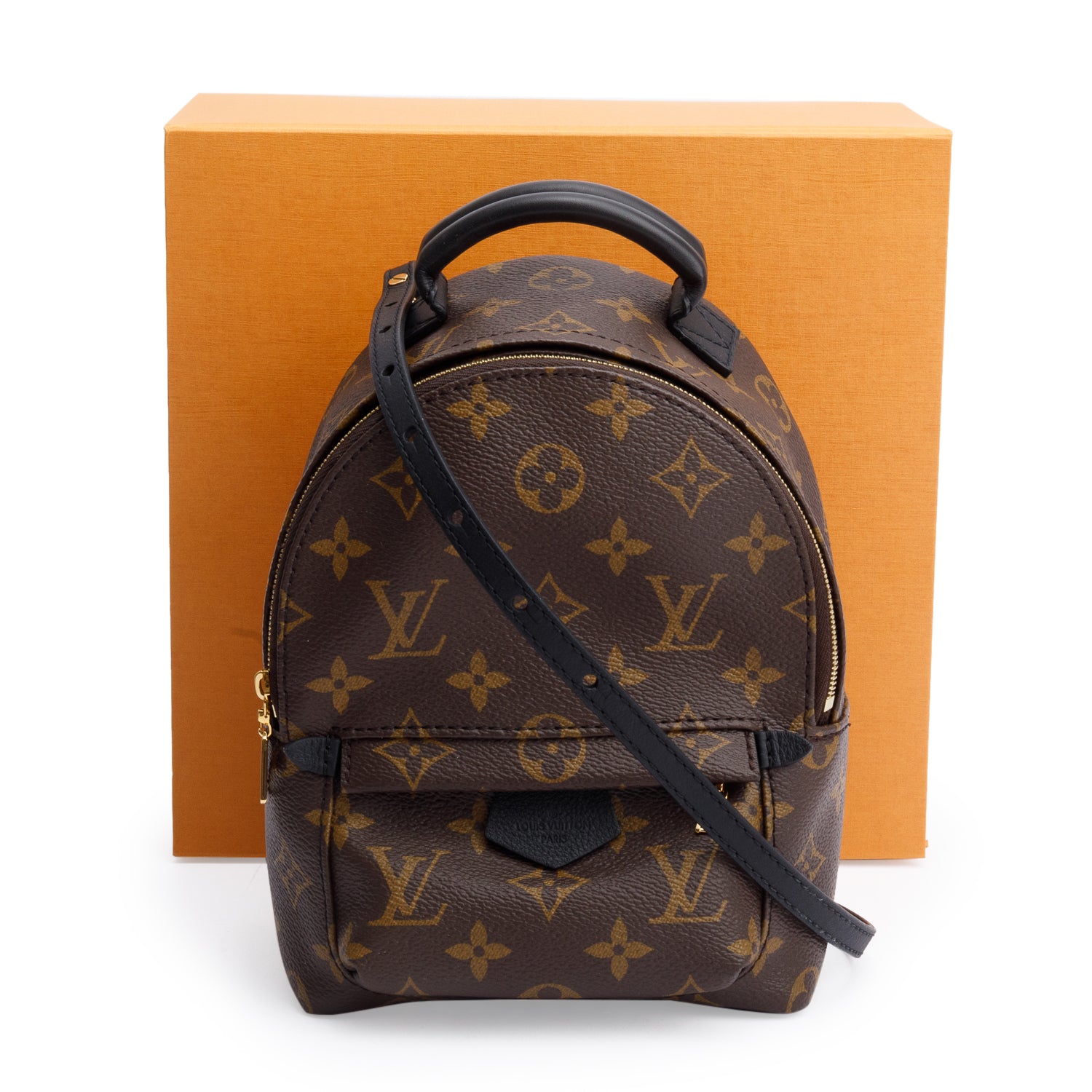 Louis Vuitton 2020 Monogram Palm Springs Mini Backpack w/ Box & Receipt