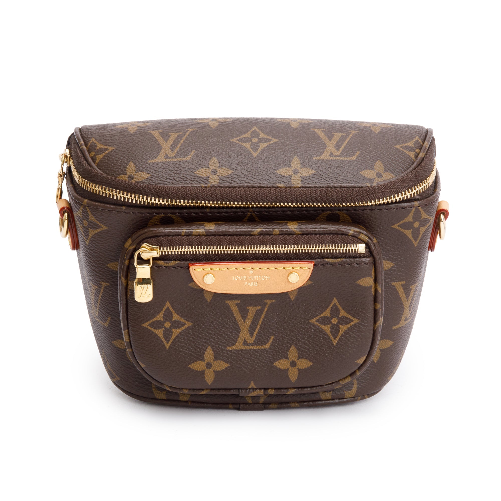 Louis Vuitton 2022 Monogram Mini Bumbag