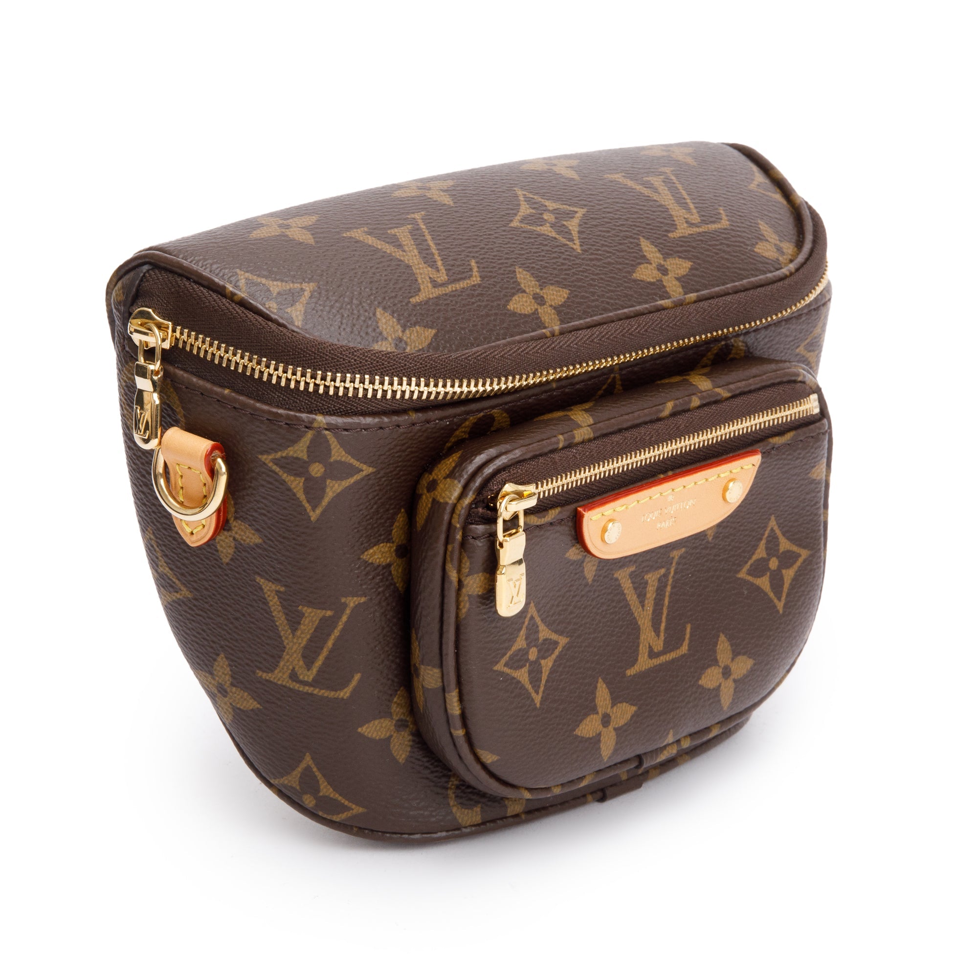 Louis Vuitton 2022 Monogram Mini Bumbag