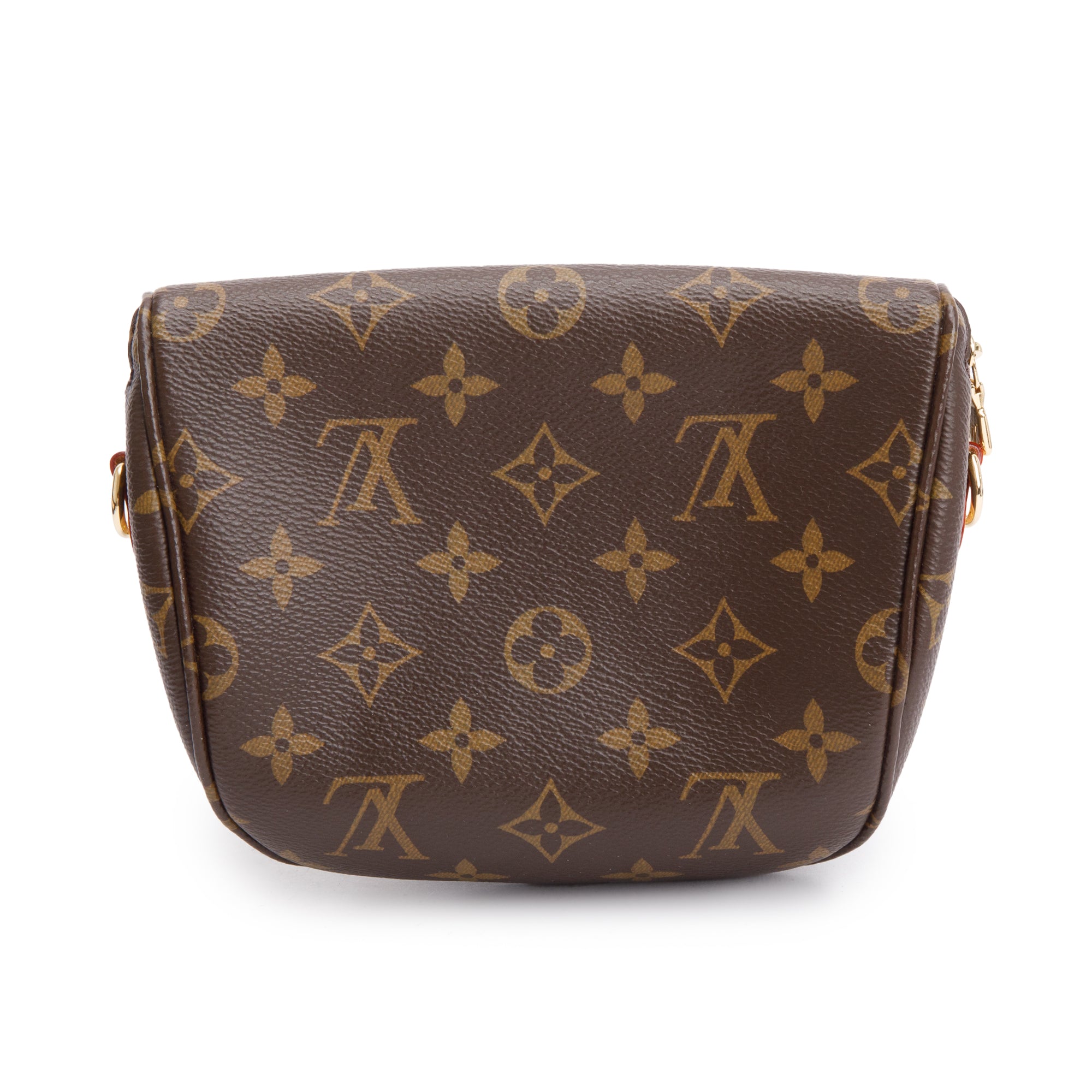 Louis Vuitton 2022 Monogram Mini Bumbag
