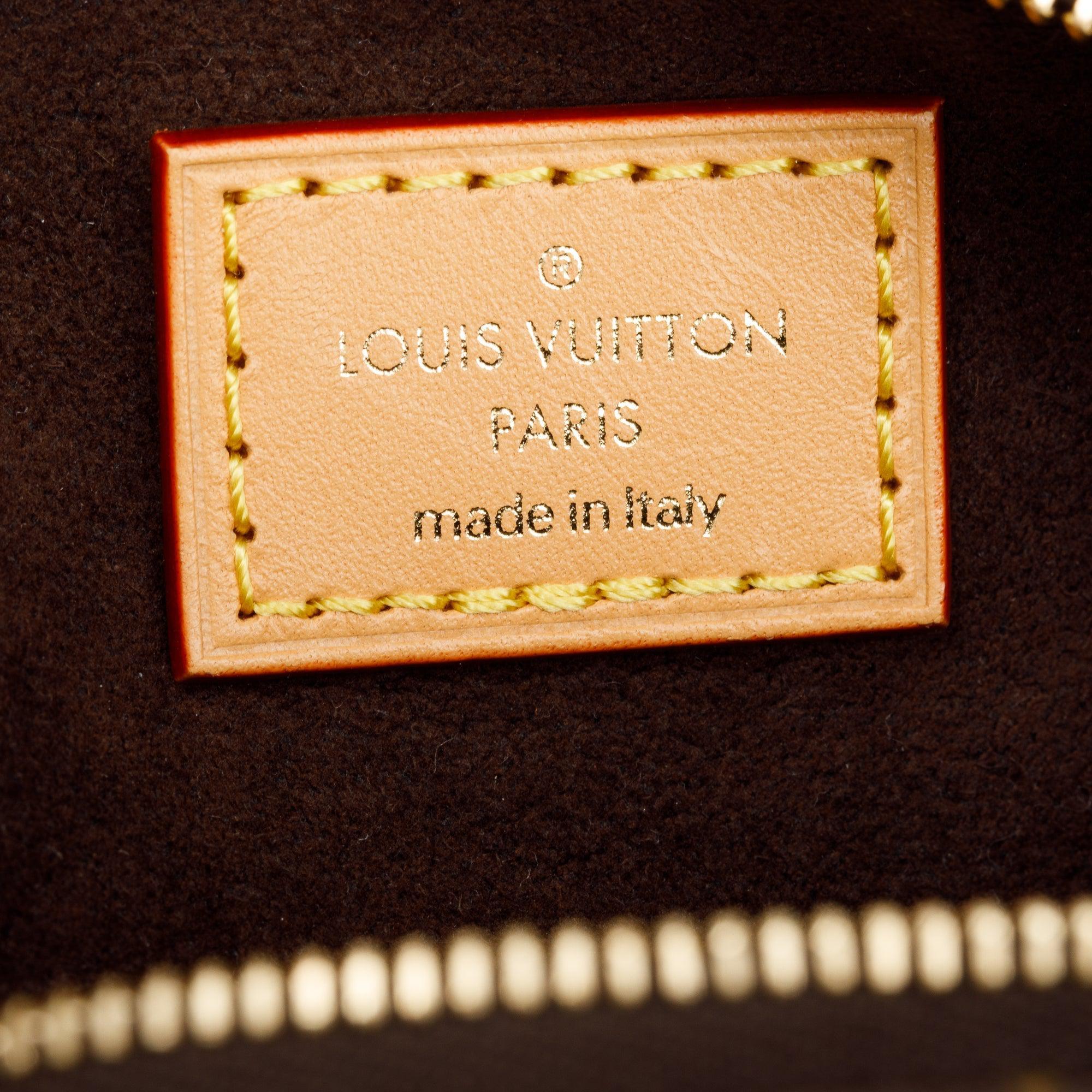 Louis Vuitton 2022 Monogram Mini Bumbag