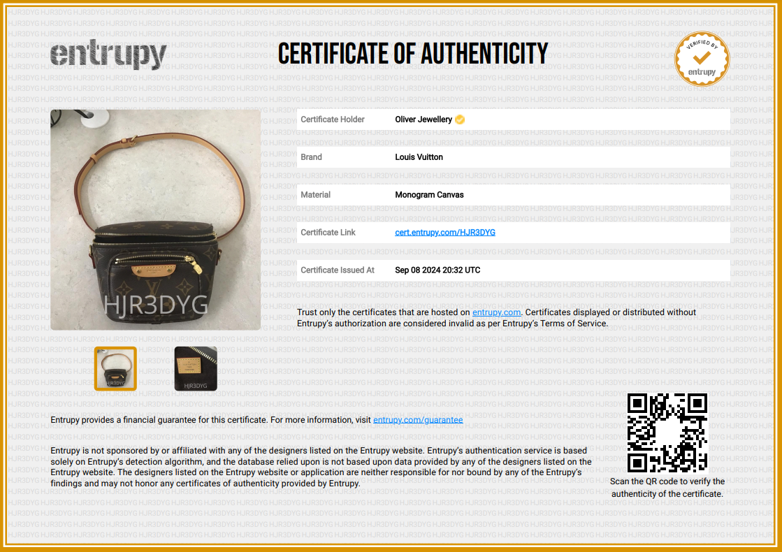 Louis Vuitton 2022 Monogram Mini Bumbag