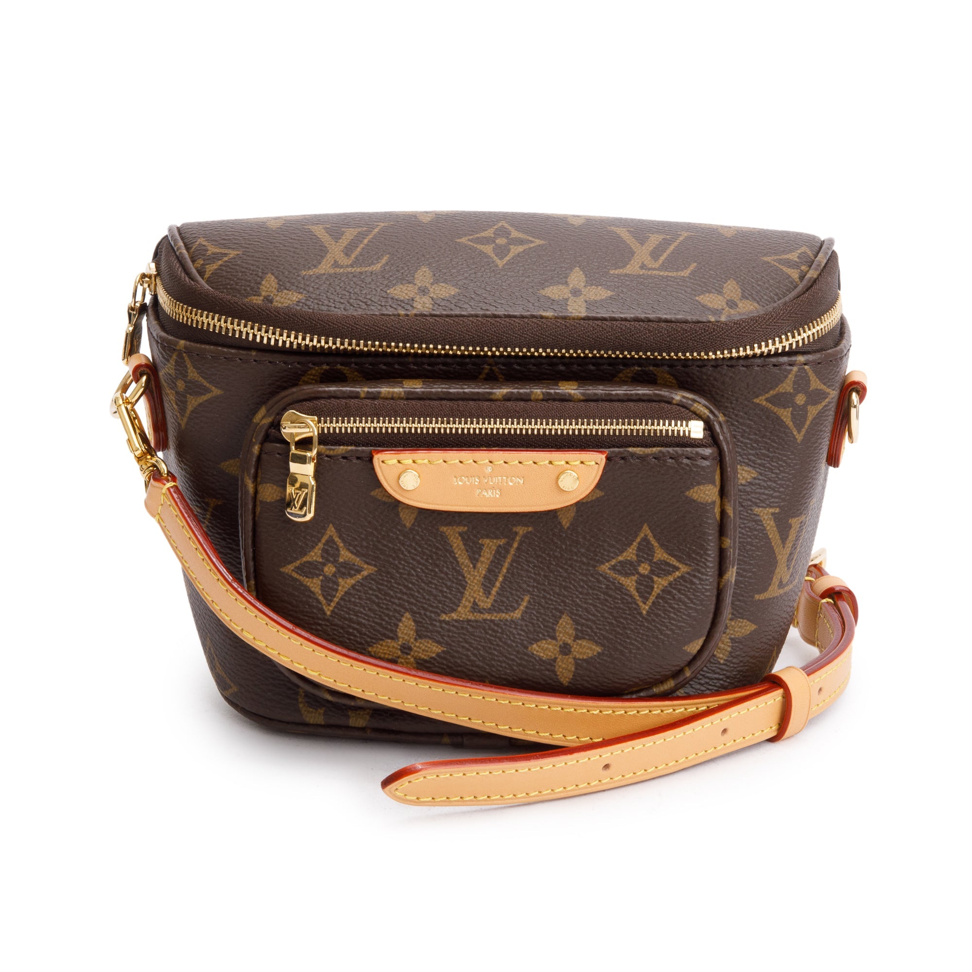 Louis Vuitton 2022 Monogram Mini Bumbag