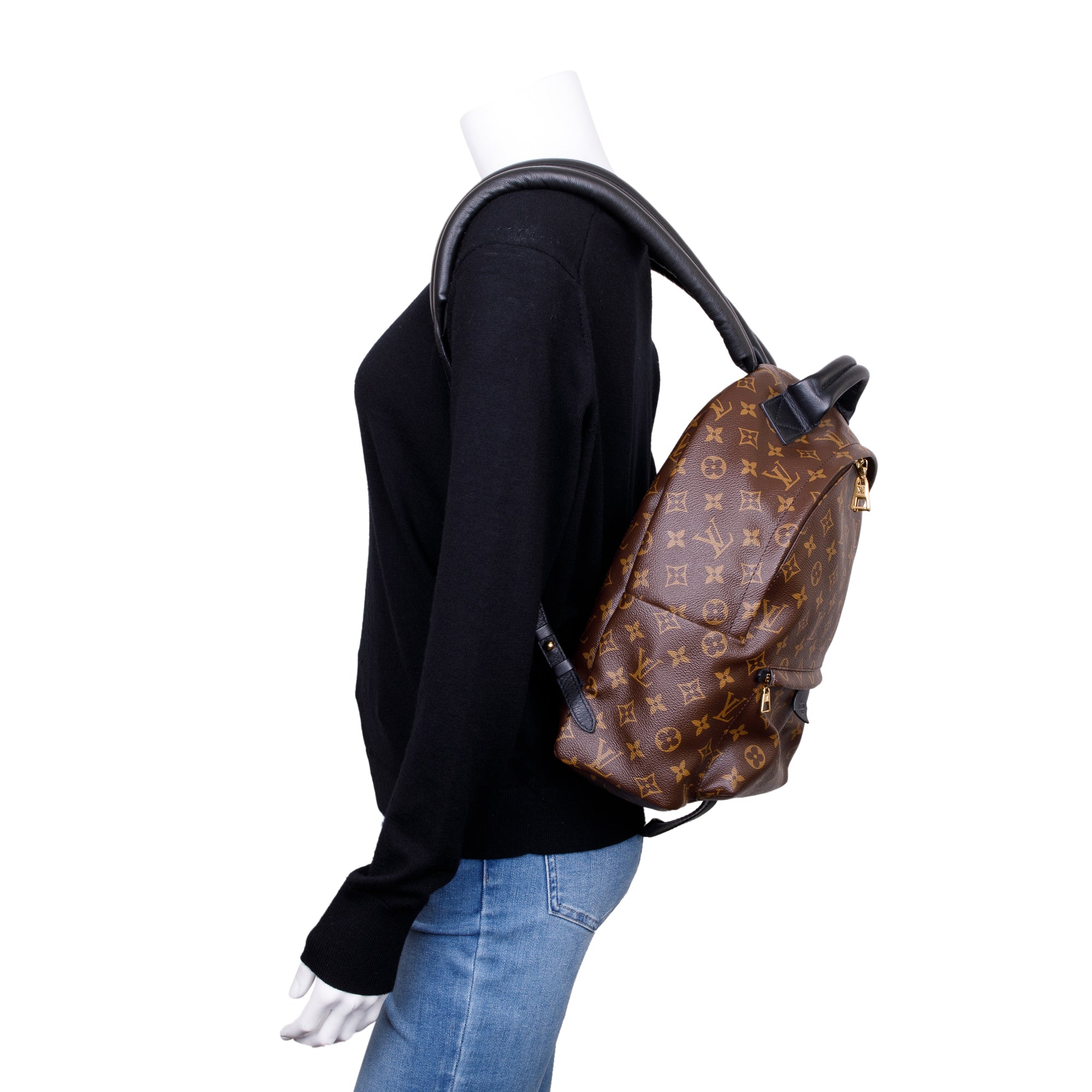 Louis Vuitton 2022 Monogram Palm Springs Backpack MM