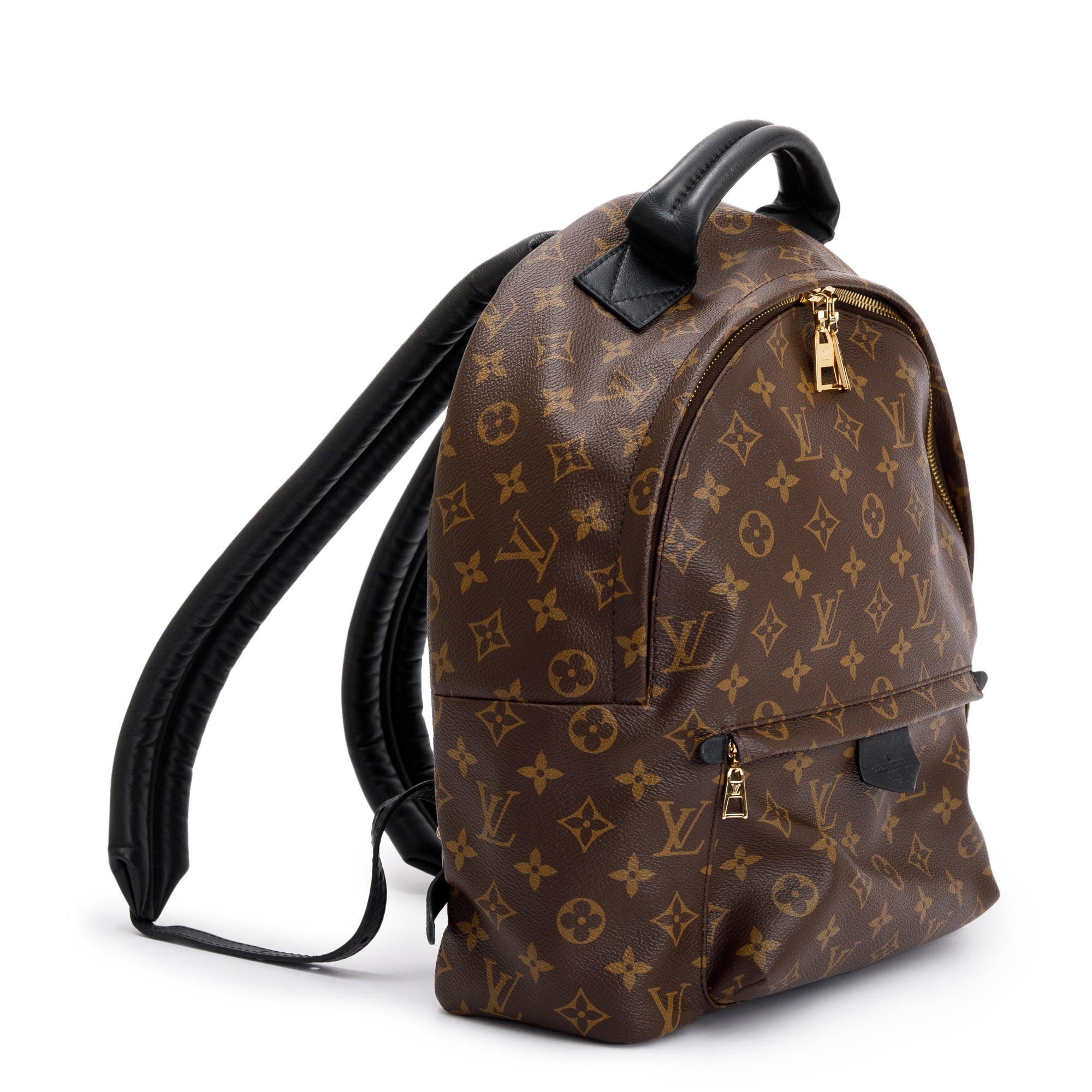 Louis Vuitton 2022 Monogram Palm Springs Backpack MM