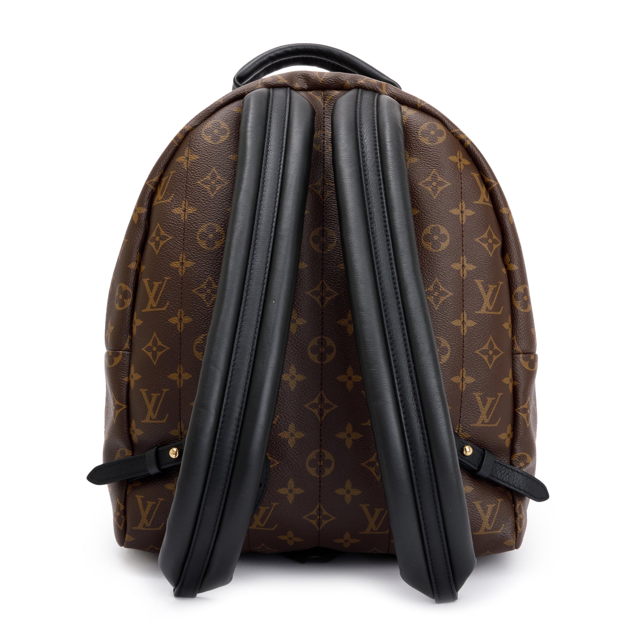 Louis Vuitton 2022 Monogram Palm Springs Backpack MM