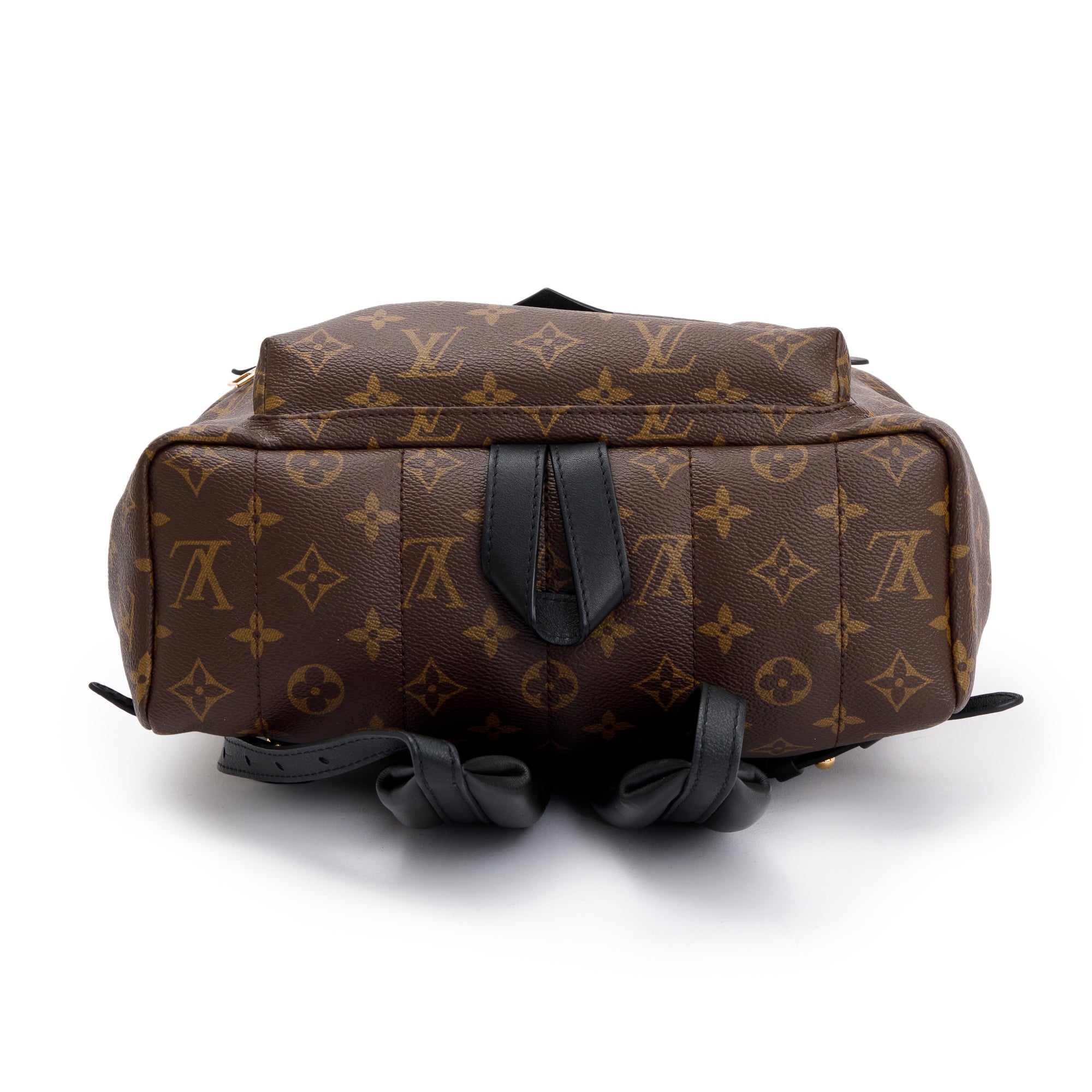 Louis Vuitton 2022 Monogram Palm Springs Backpack MM