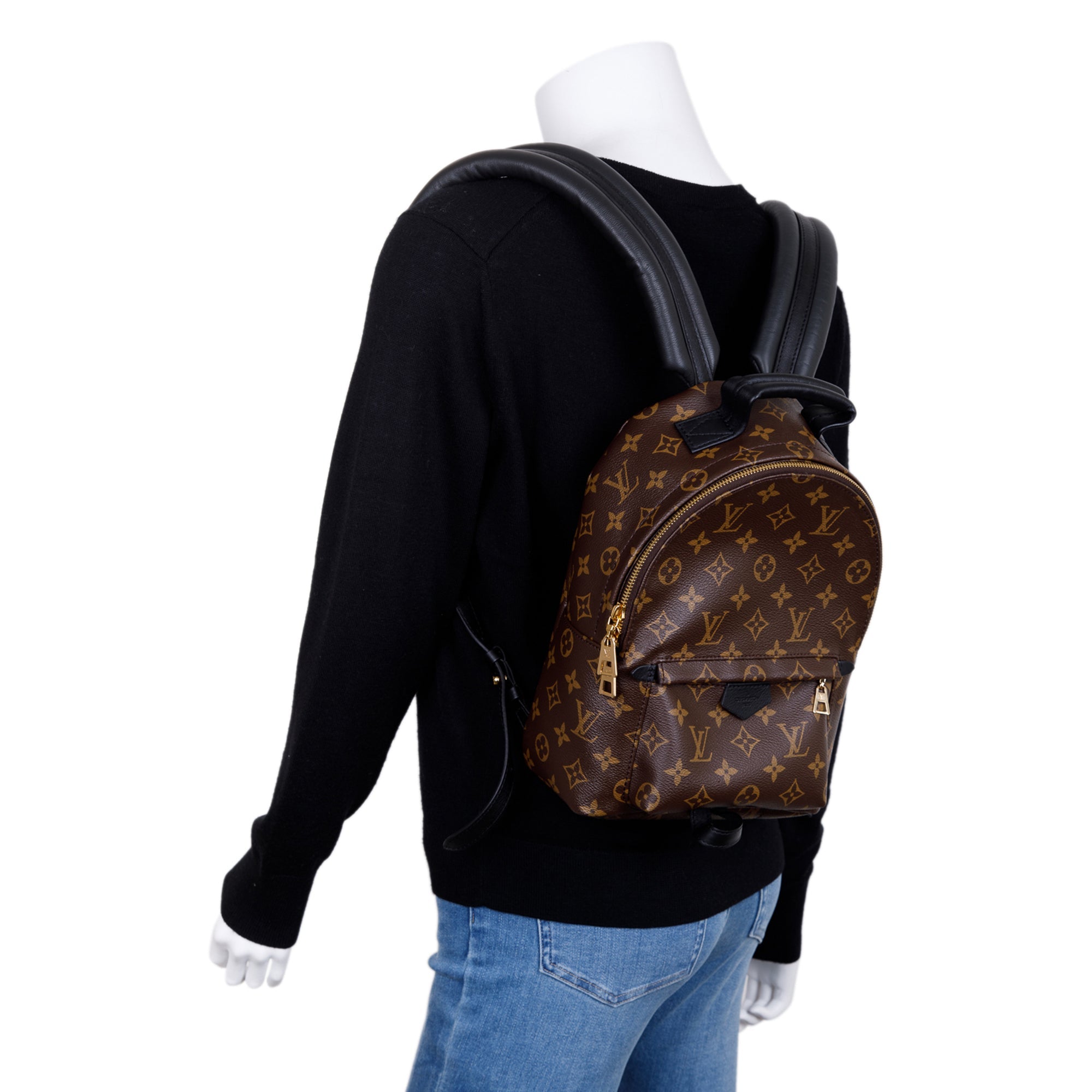 Louis Vuitton 2022 Monogram Palm Springs Backpack PM w/ Box