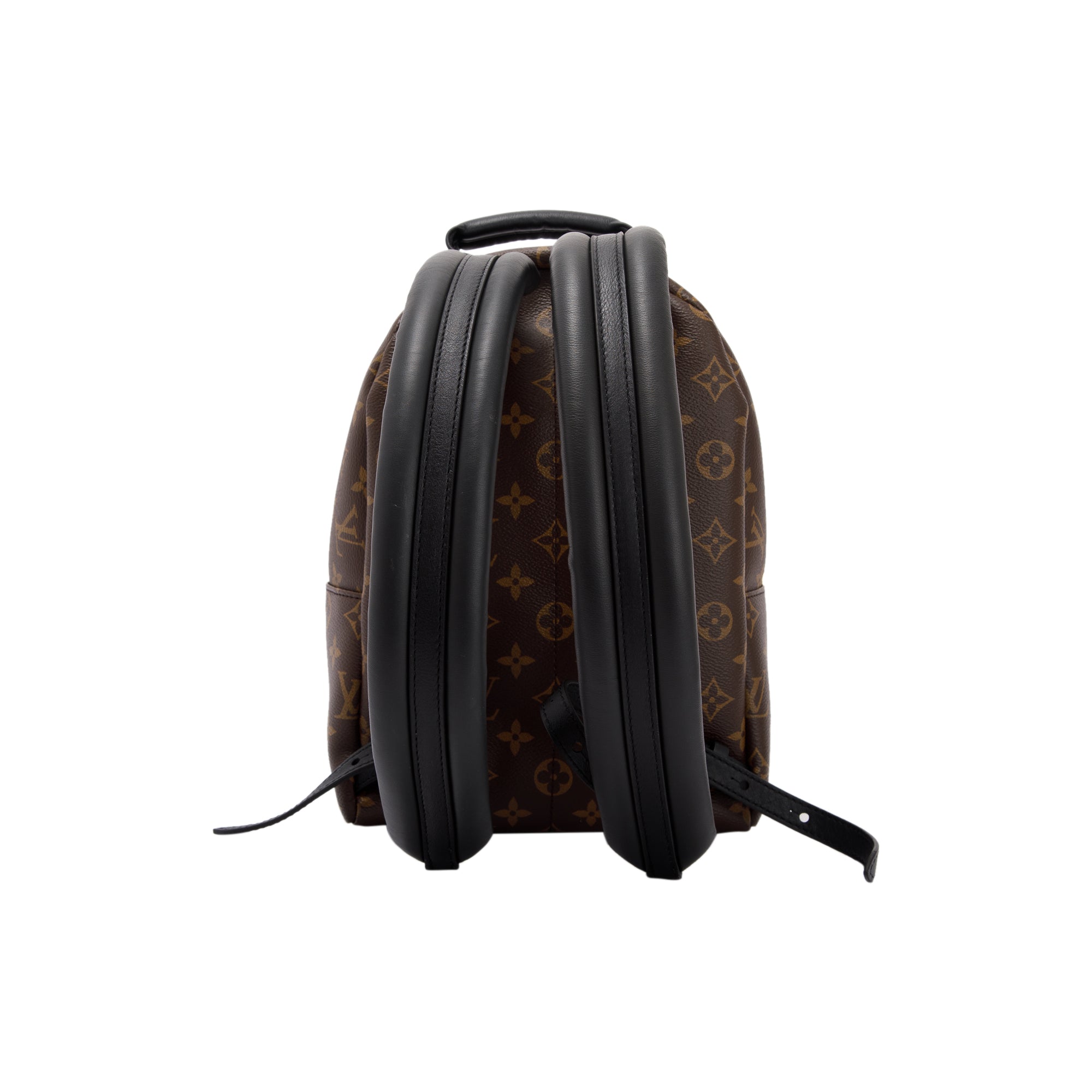 Louis Vuitton 2022 Monogram Palm Springs Backpack PM w/ Box