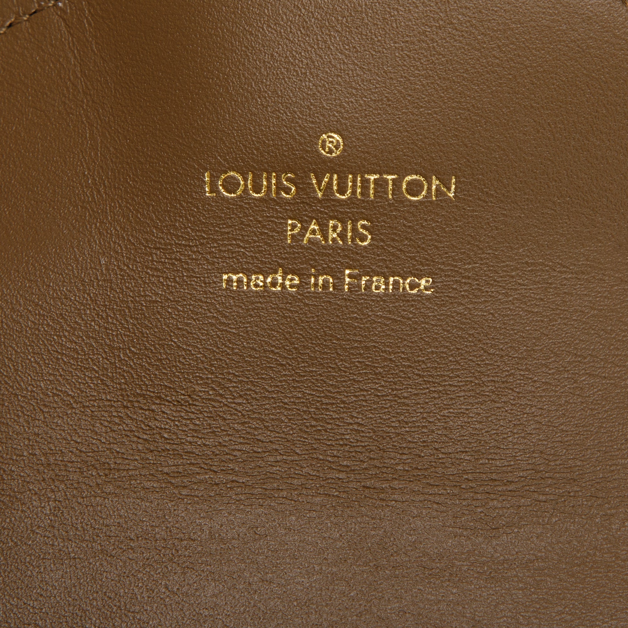 Louis Vuitton 2022 Monogram Utility Crossbody Bag