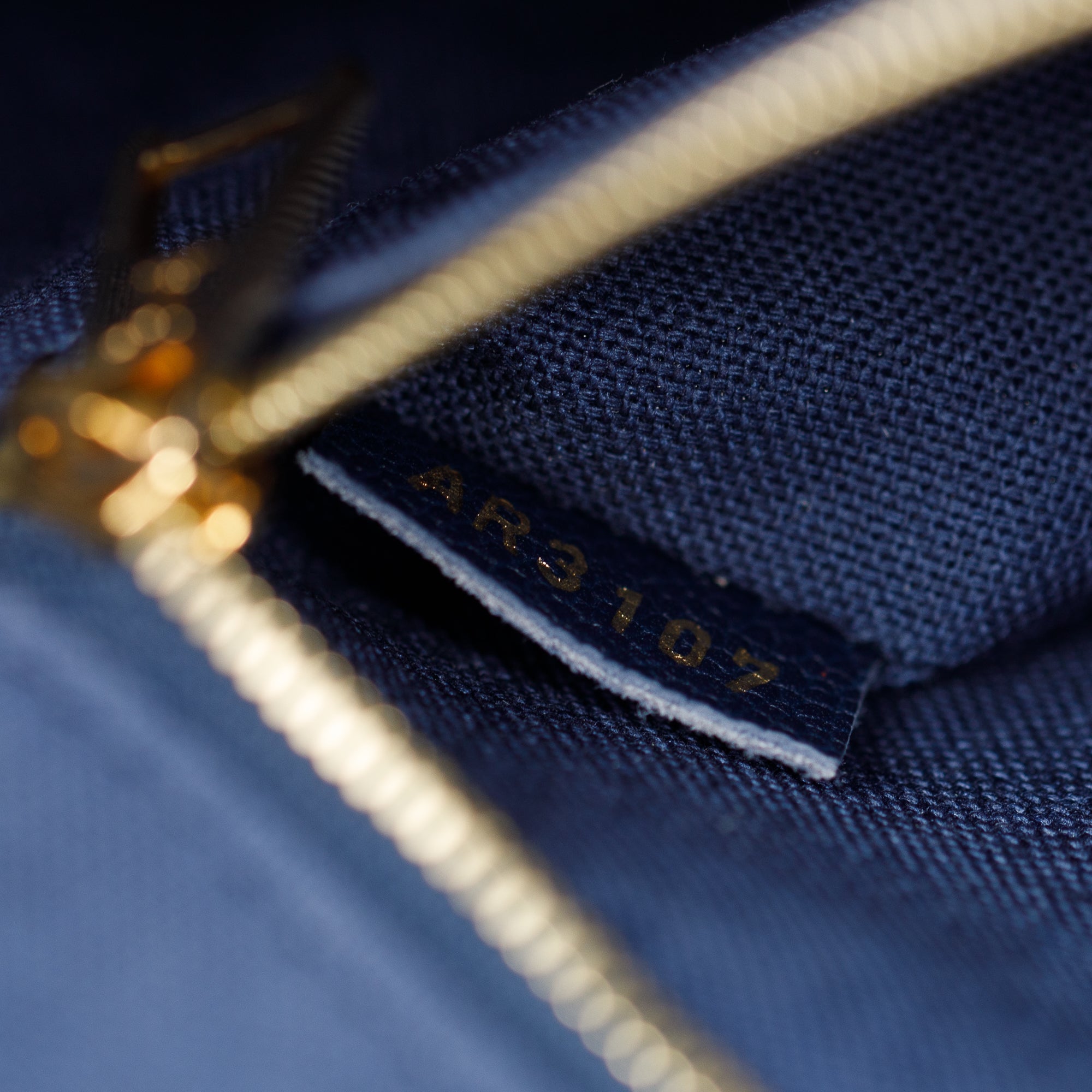 Louis Vuitton Blue Epi Leather Vaneau GM Bag