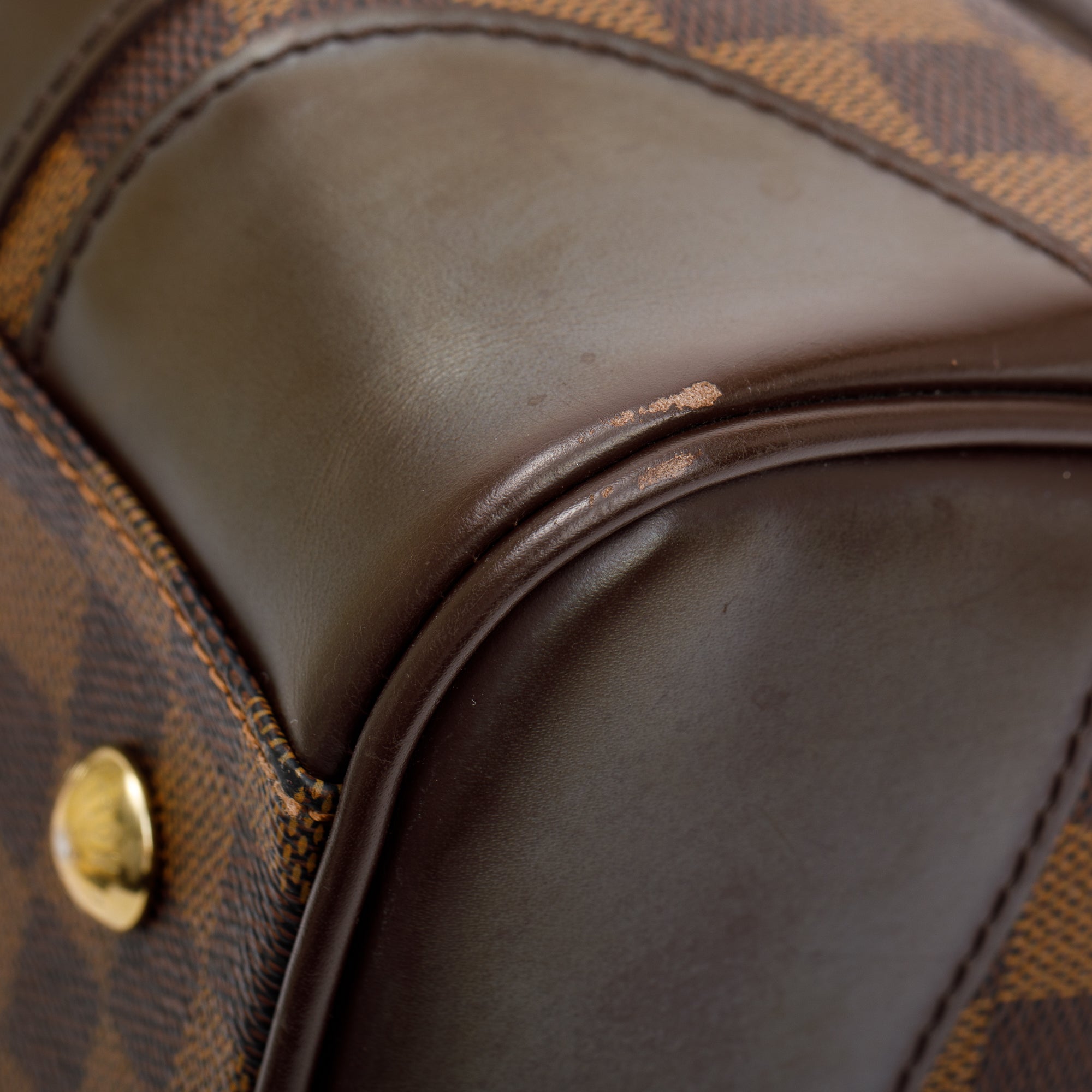 Louis Vuitton Damier Ebene Berkeley