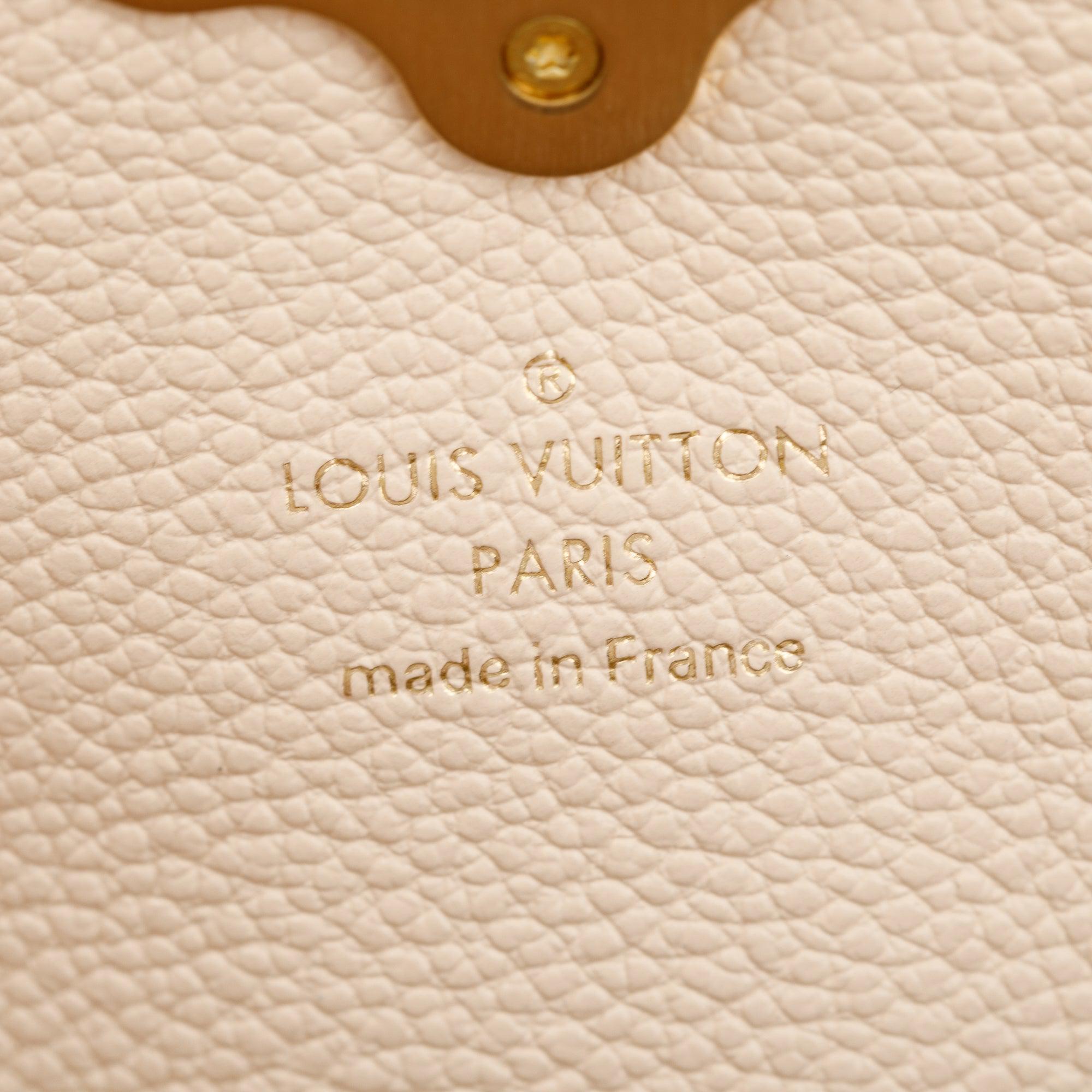 Louis Vuitton Damier Ebene Clapton Convertible Backpack