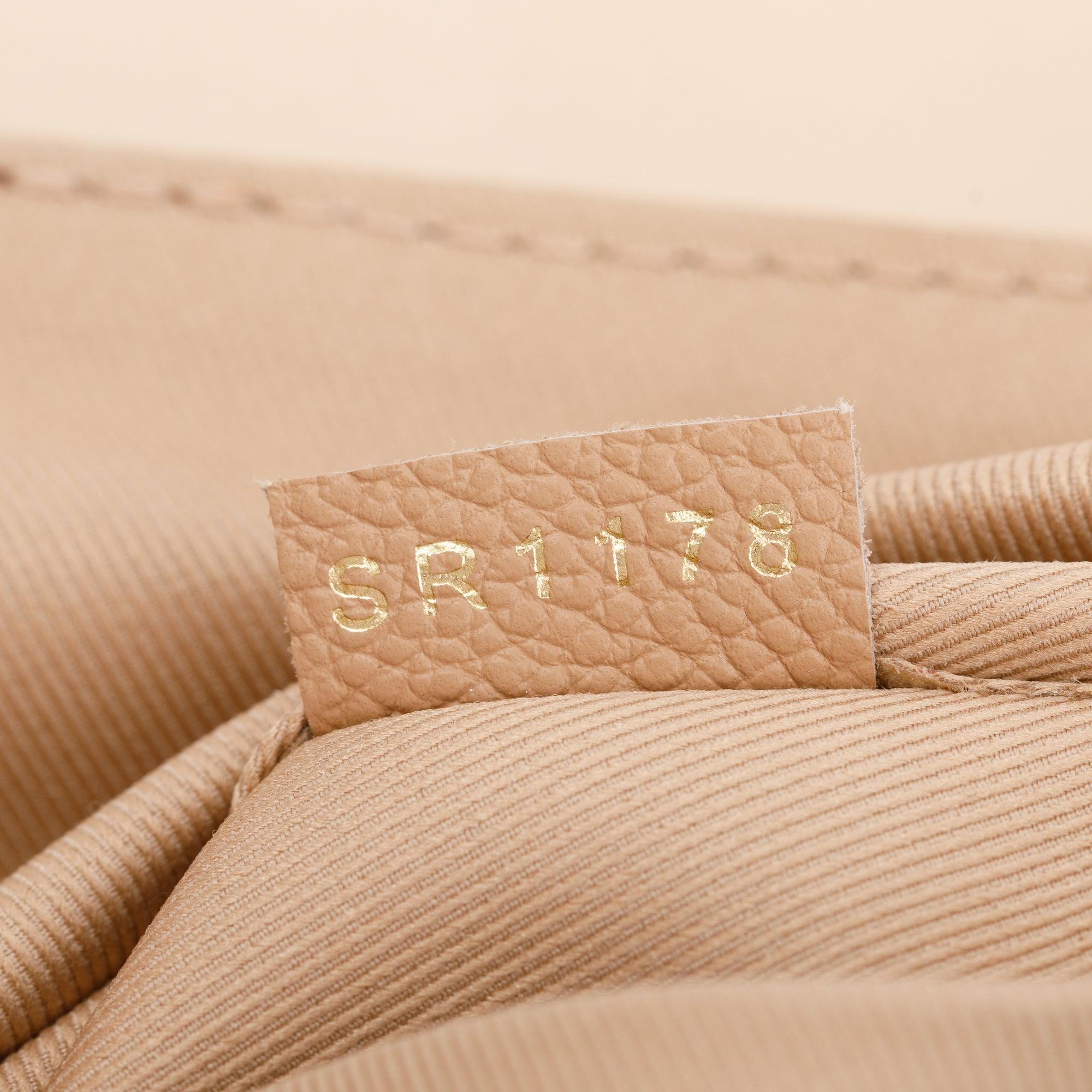 Louis Vuitton Damier Ebene Clapton Convertible Backpack