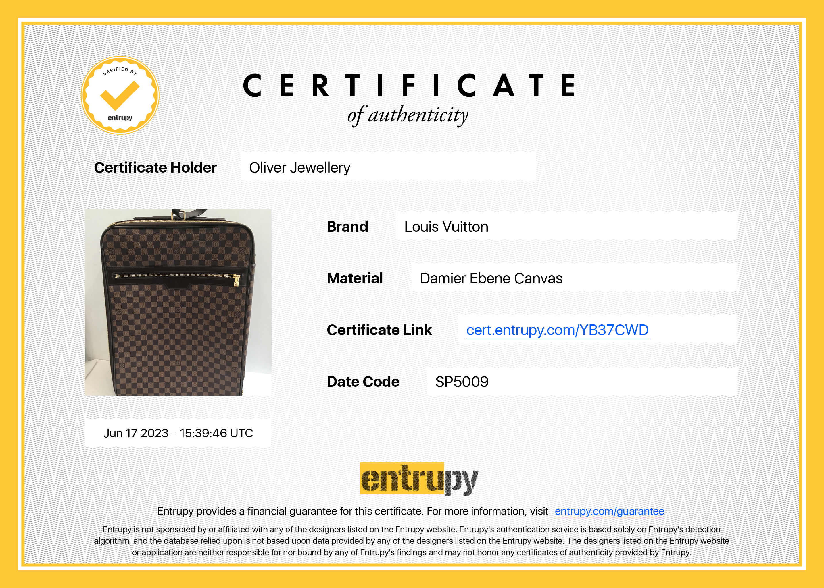 Louis Vuitton Damier Ebene Pegase 50