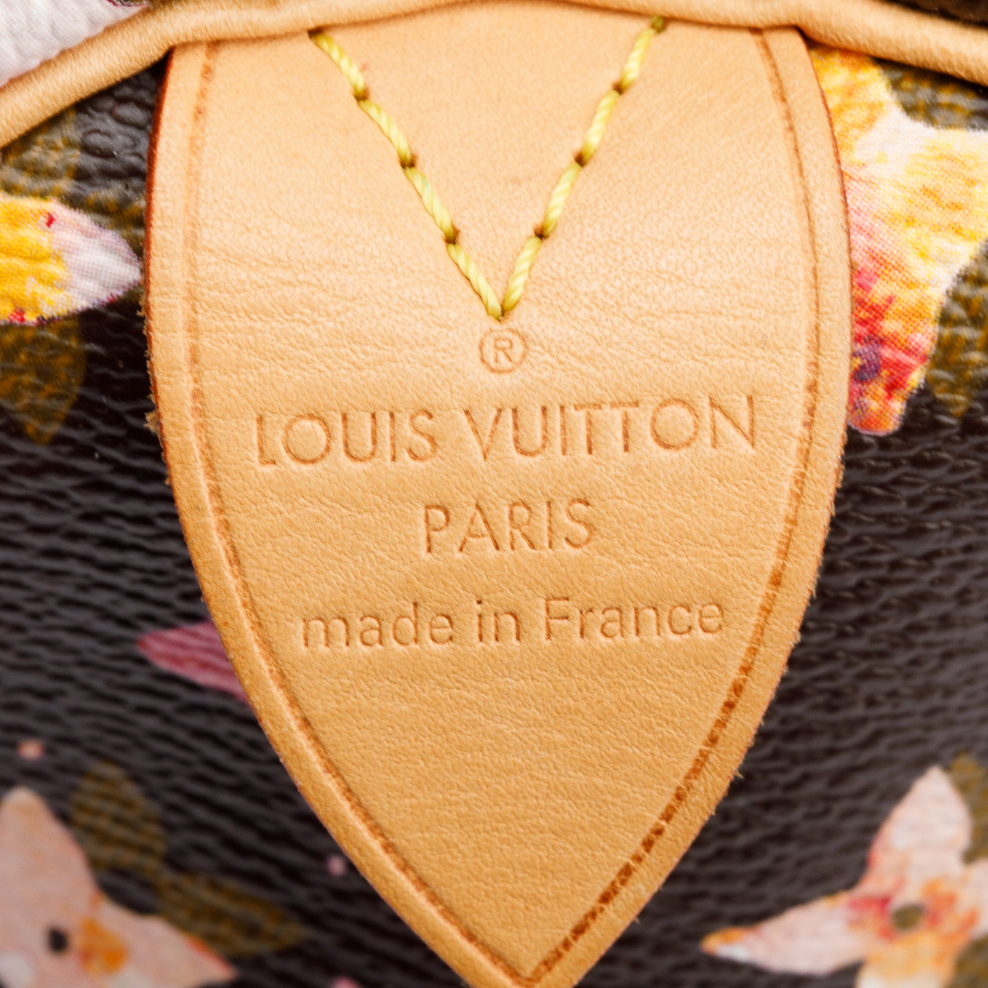 Louis Vuitton Limited Edition Brown Monogram Watercolor Aquarelle Speedy 30