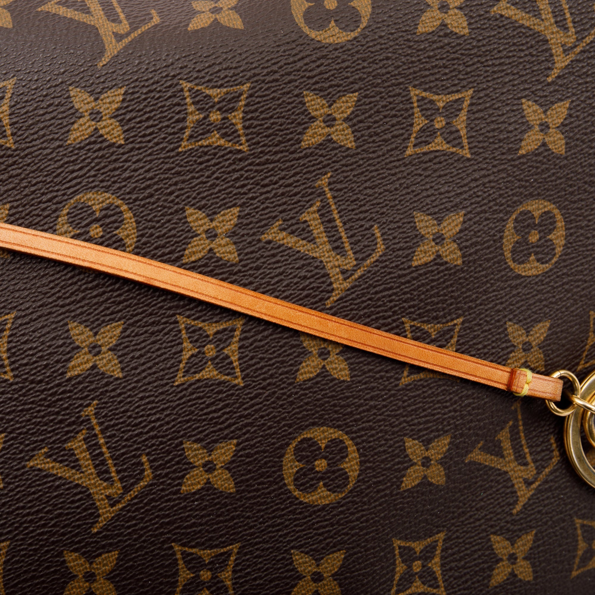 Louis Vuitton Monogram Artsy MM