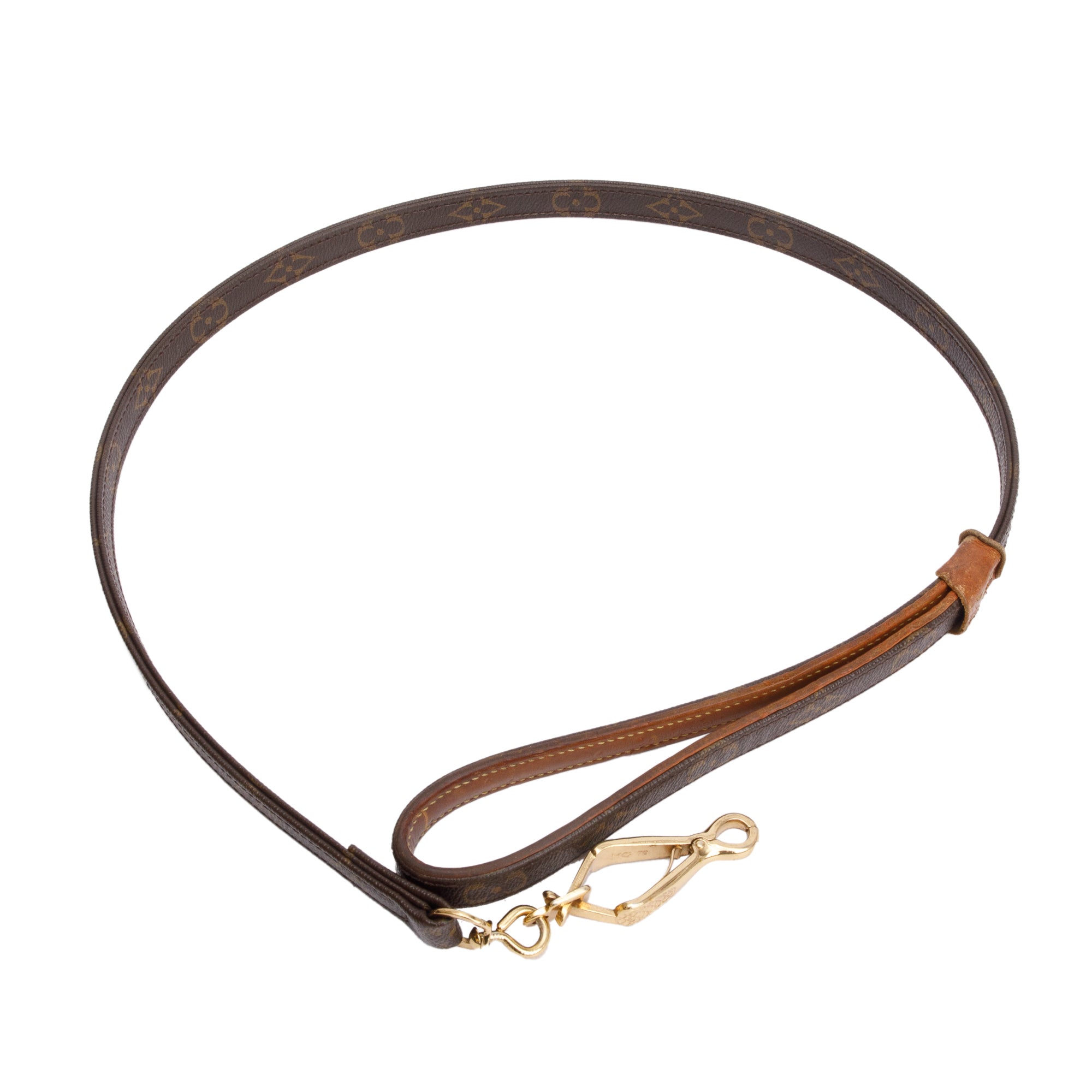 Louis Vuitton Monogram Baxter Dog Leash GM