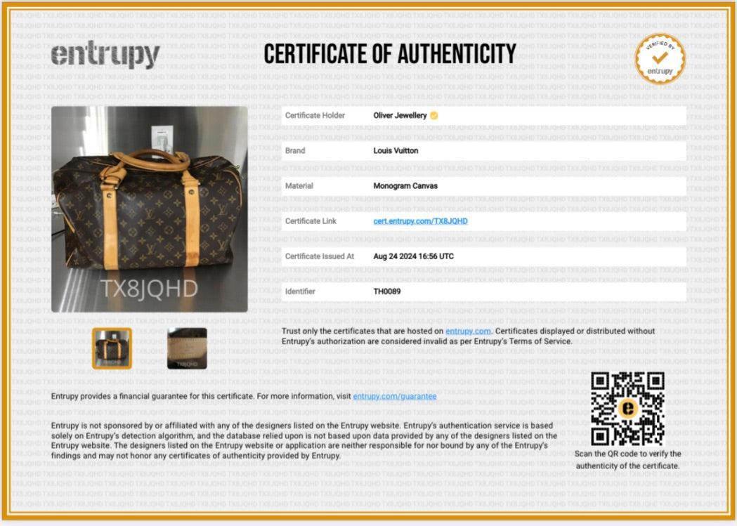 Louis Vuitton Monogram Carryall Bag