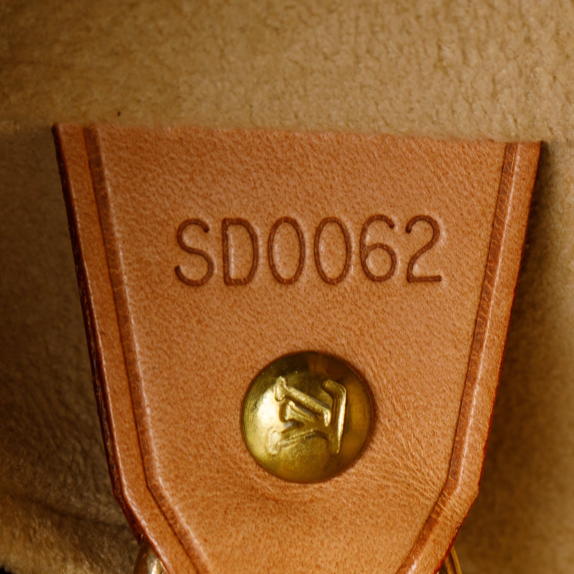 Louis Vuitton Monogram Cite GM