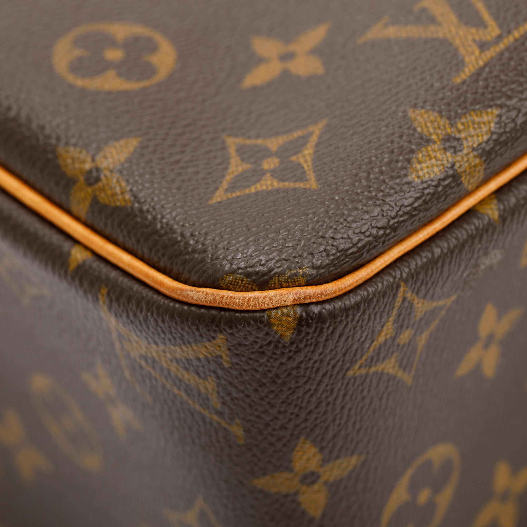 Louis Vuitton Monogram Cite GM