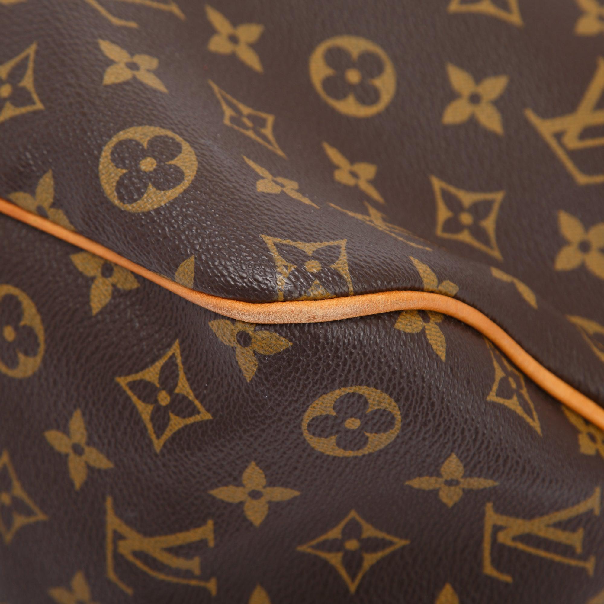 Louis Vuitton Monogram Delightful PM