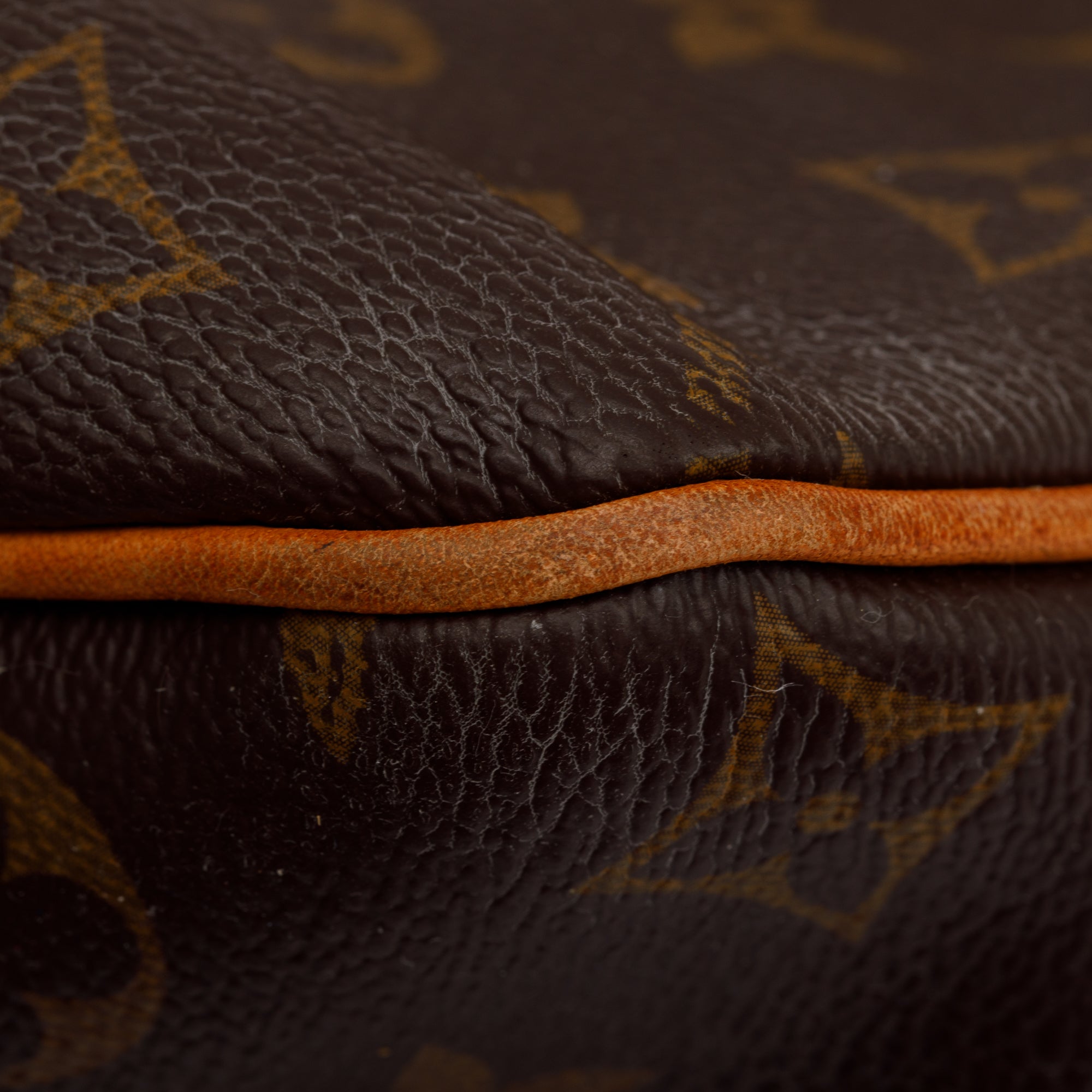 Louis Vuitton Monogram Delightful PM Bag