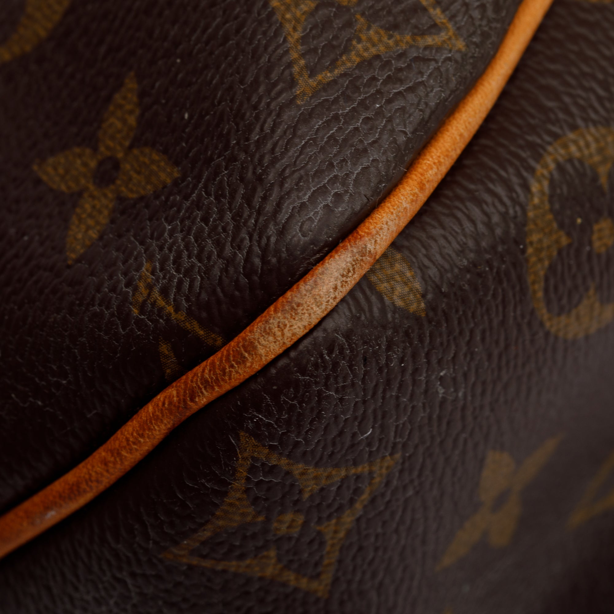 Louis Vuitton Monogram Delightful PM Bag