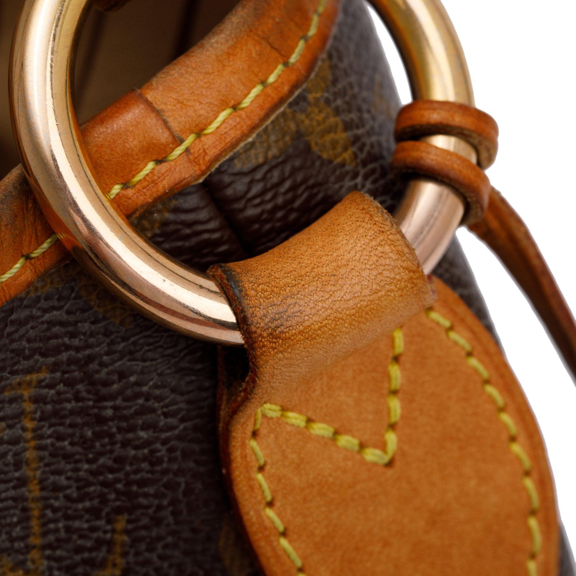 Louis Vuitton Monogram Delightful PM Bag