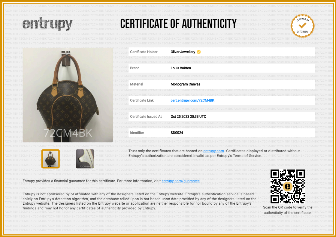 Louis Vuitton Monogram Ellipse PM