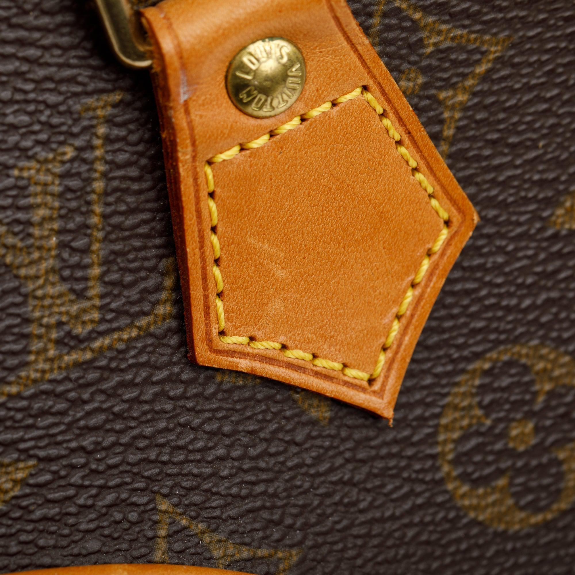 Louis Vuitton Monogram Ellipse PM