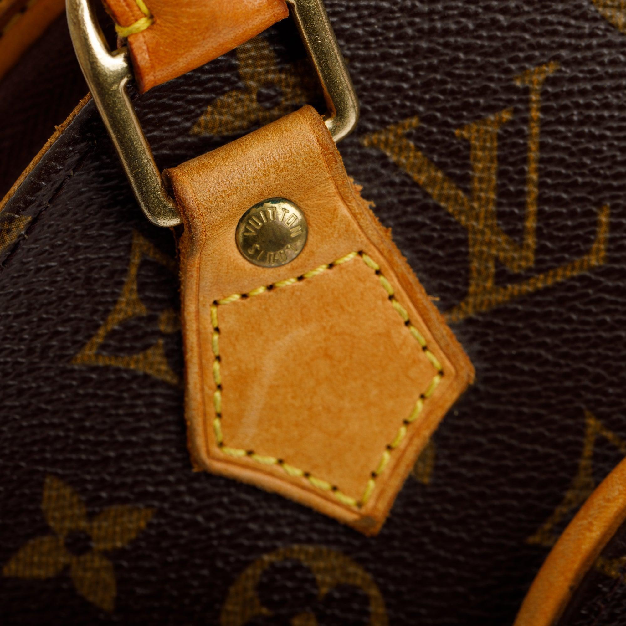 Louis Vuitton Monogram Ellipse PM