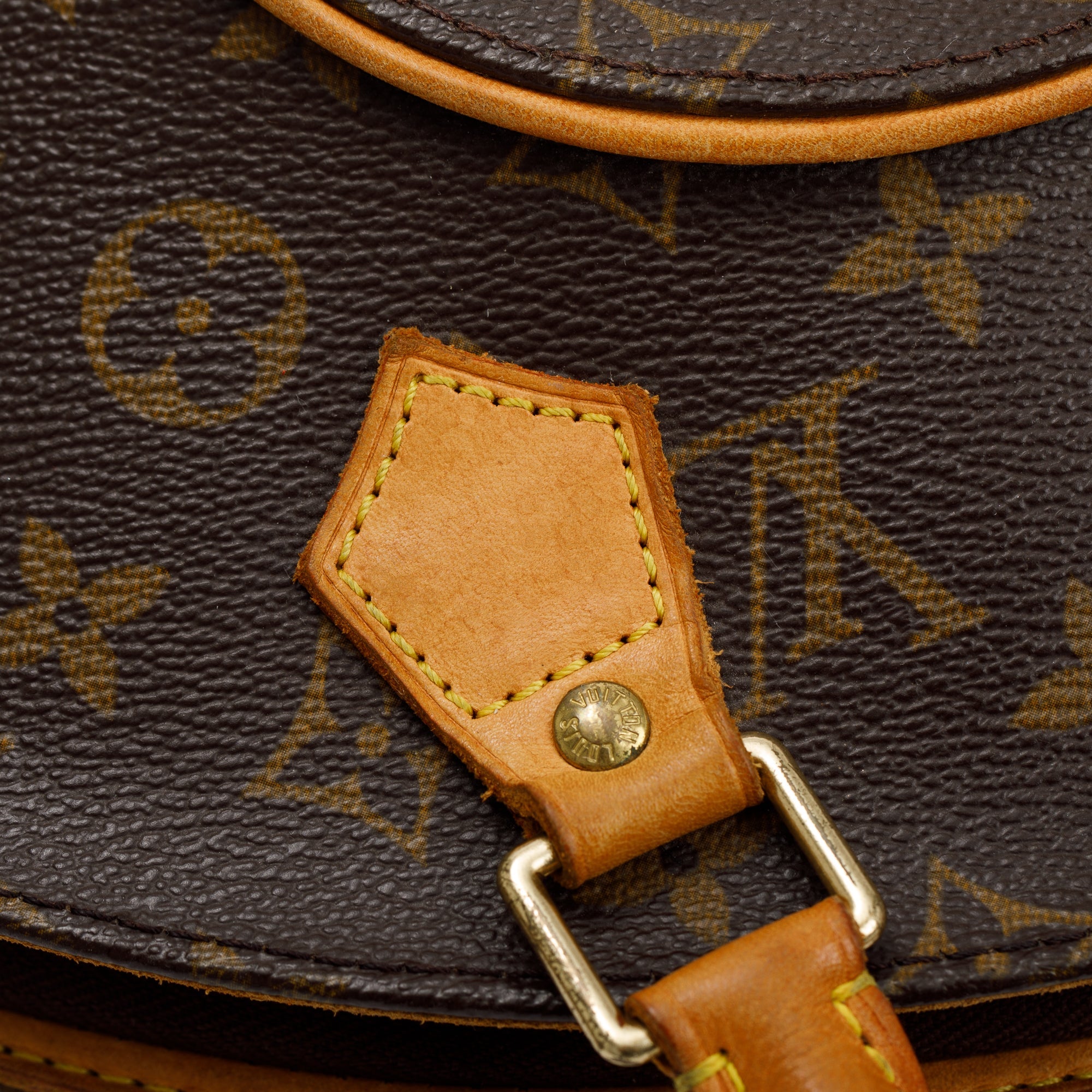 Louis Vuitton Monogram Ellipse PM
