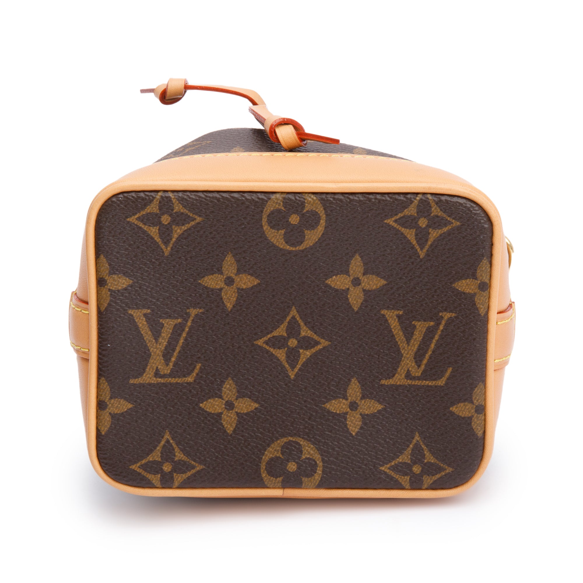Louis Vuitton Monogram Nano Noe w/ Straps
