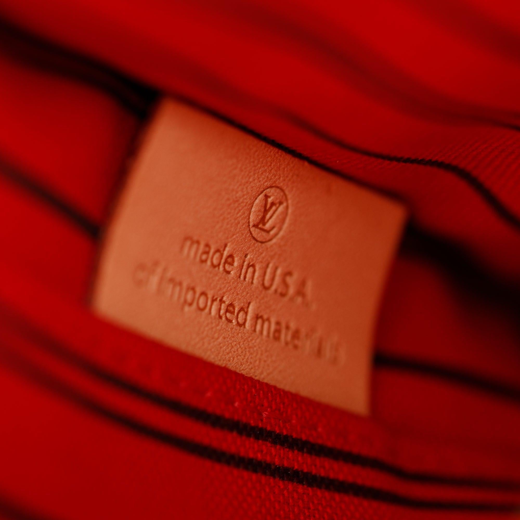 Louis Vuitton Monogram Neverfull Pochette