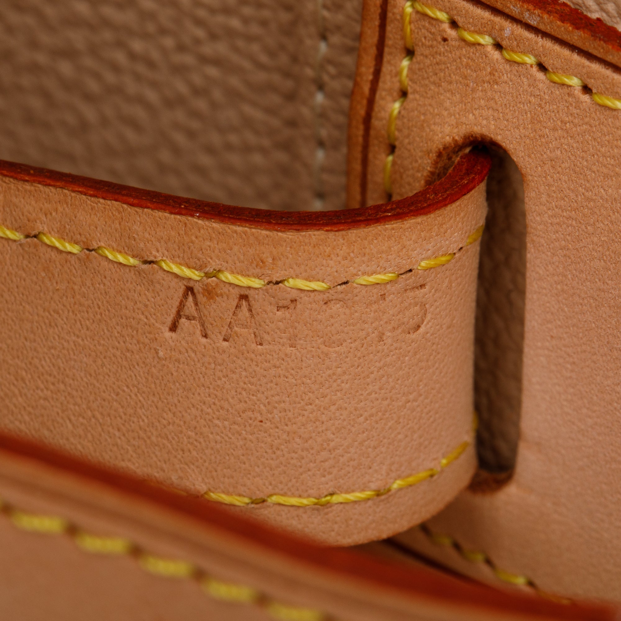 Louis Vuitton Monogram Nice Vanity w/ Strap