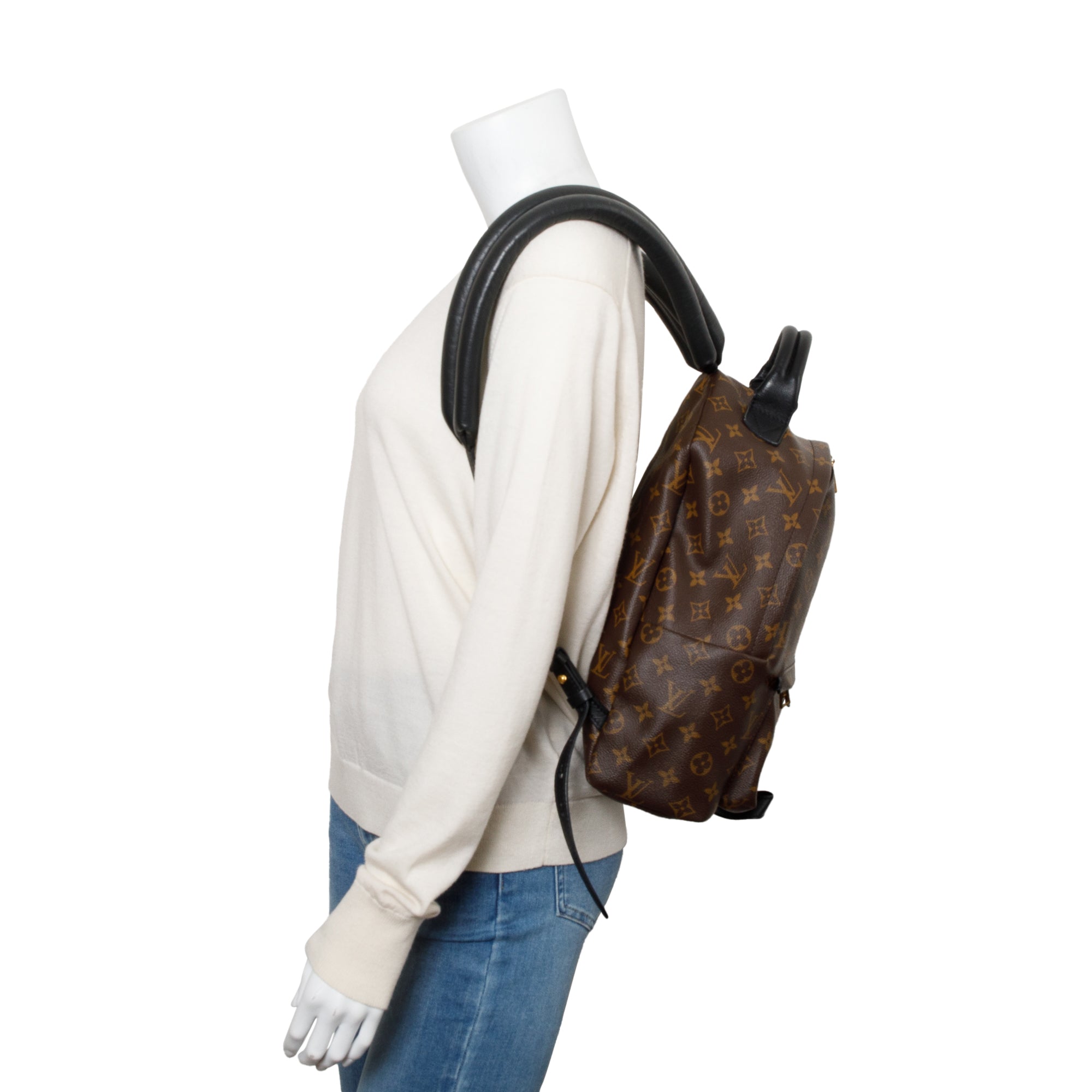 Louis Vuitton Monogram Palm Springs Backpack MM