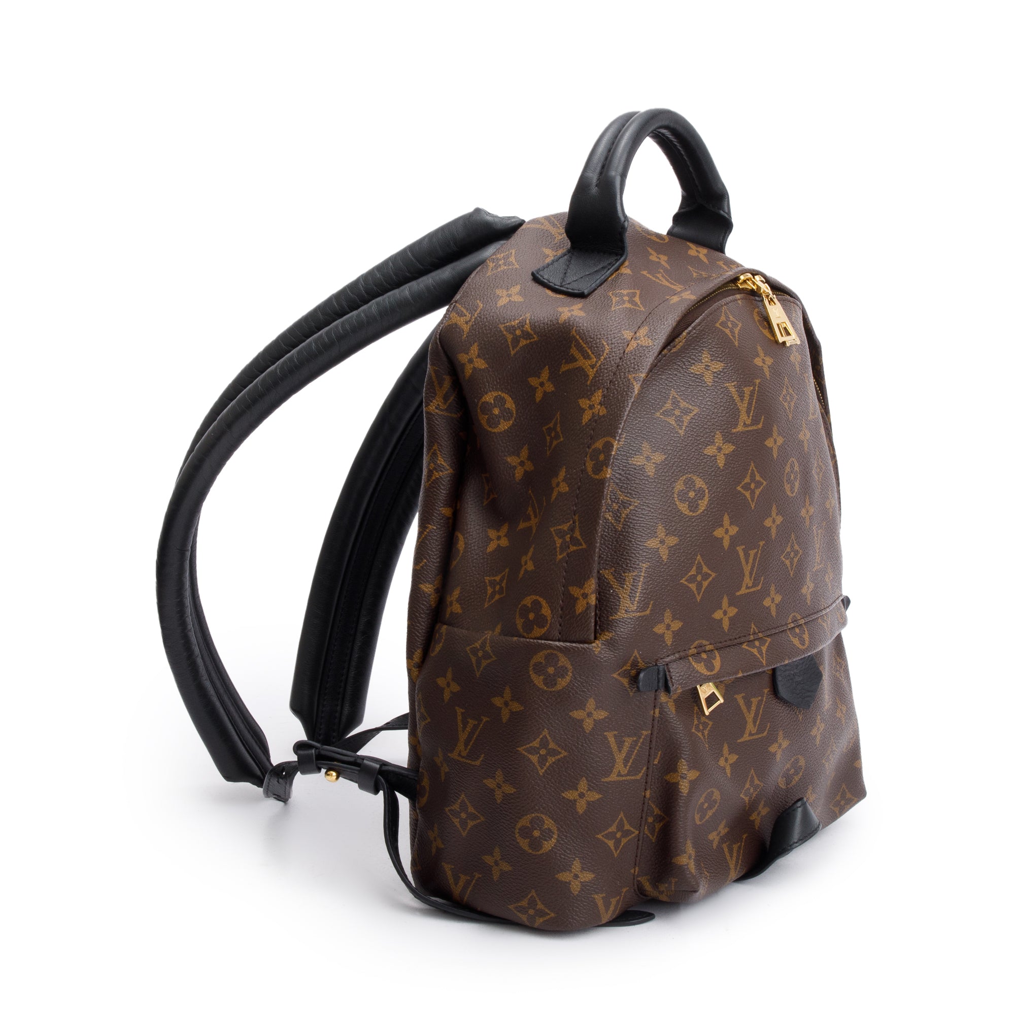 Louis Vuitton Monogram Palm Springs Backpack MM