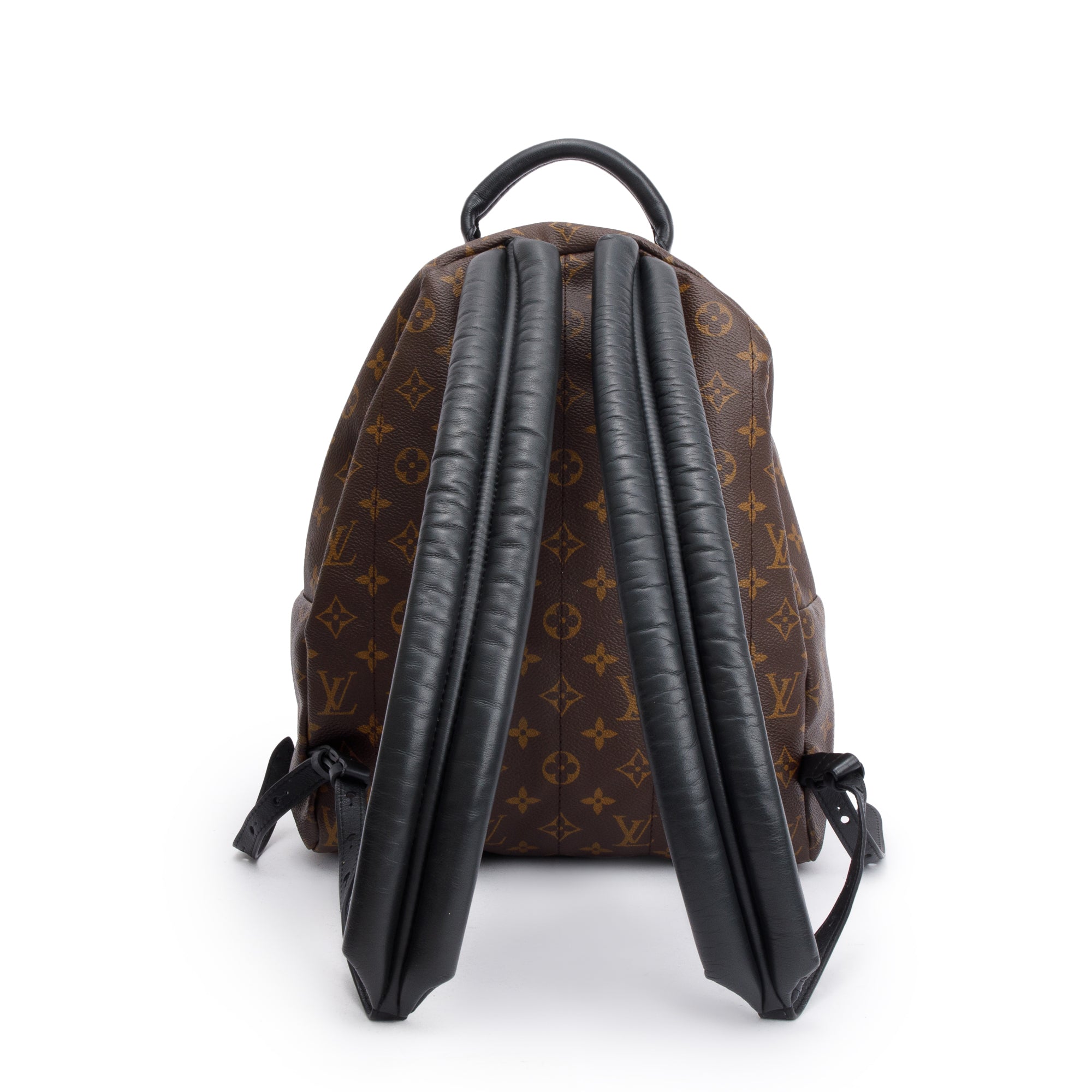 Louis Vuitton Monogram Palm Springs Backpack MM