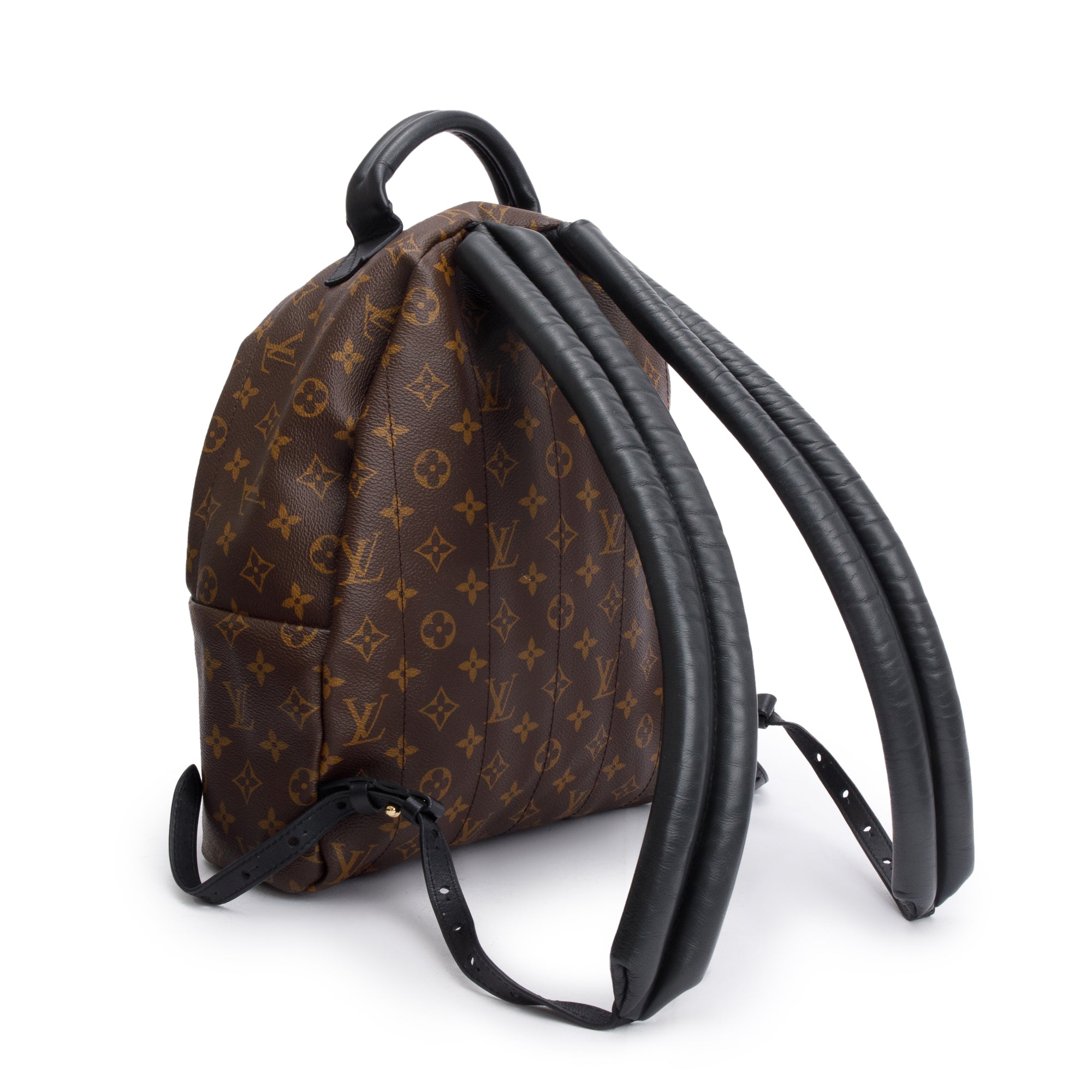 Louis Vuitton Monogram Palm Springs Backpack MM