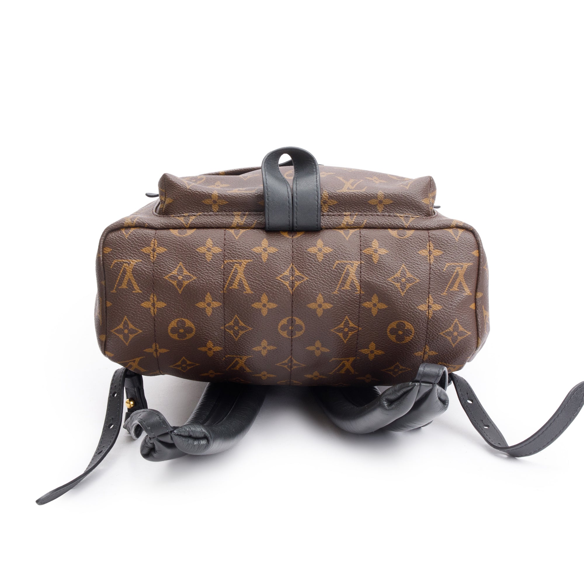 Louis Vuitton Monogram Palm Springs Backpack MM