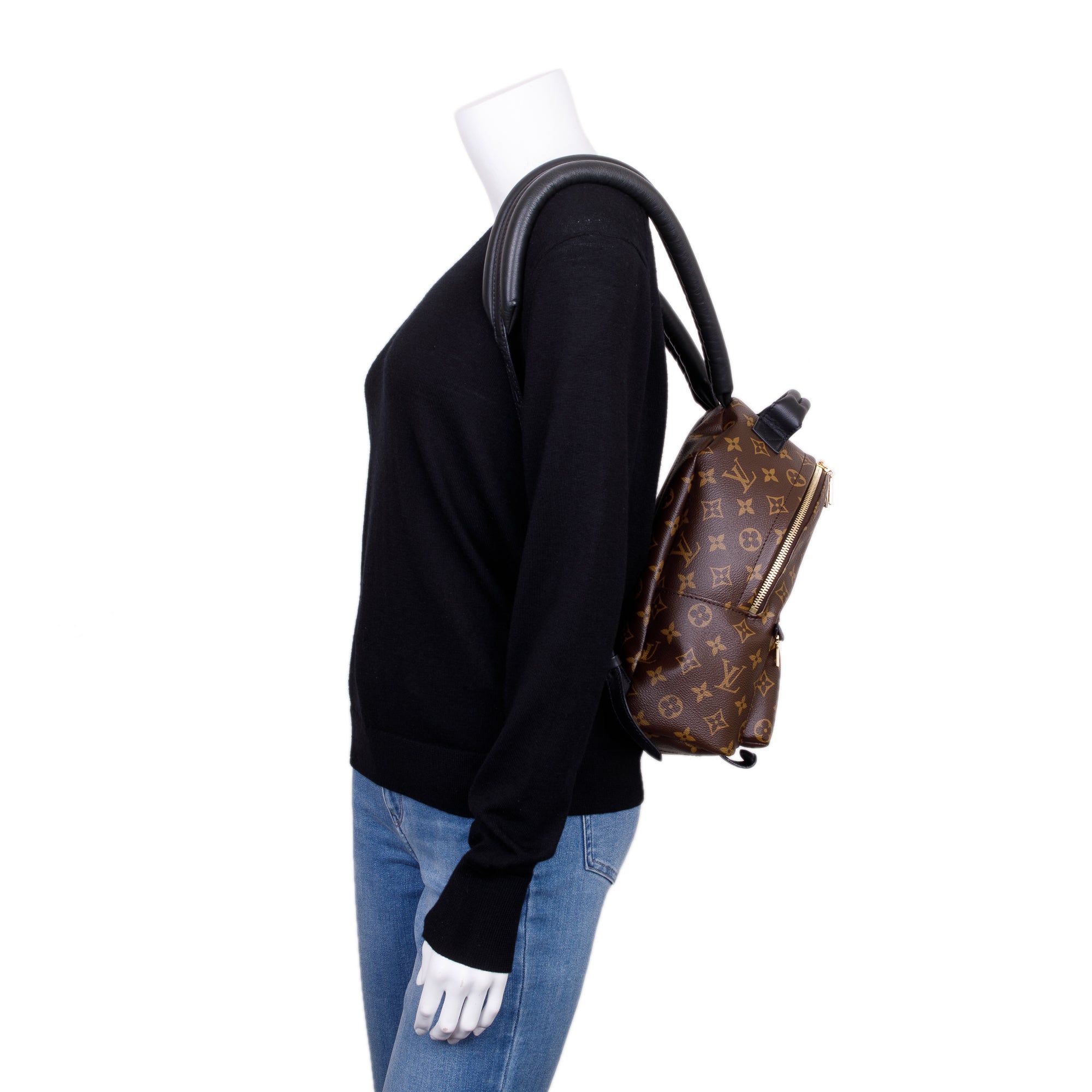 Louis Vuitton Monogram Palm Springs Backpack PM