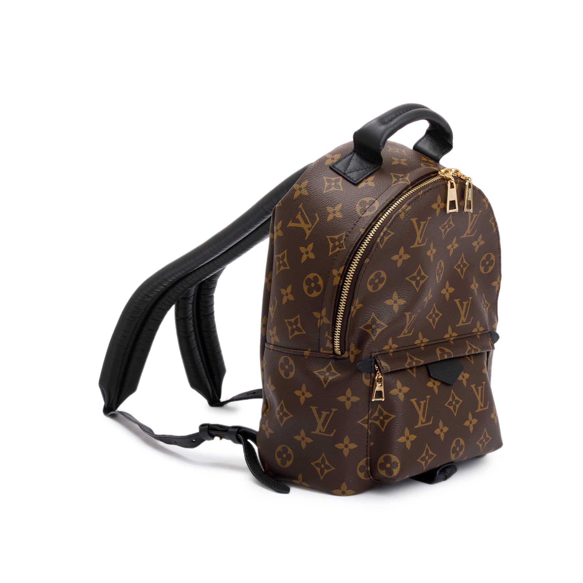 Louis Vuitton Monogram Palm Springs Backpack PM