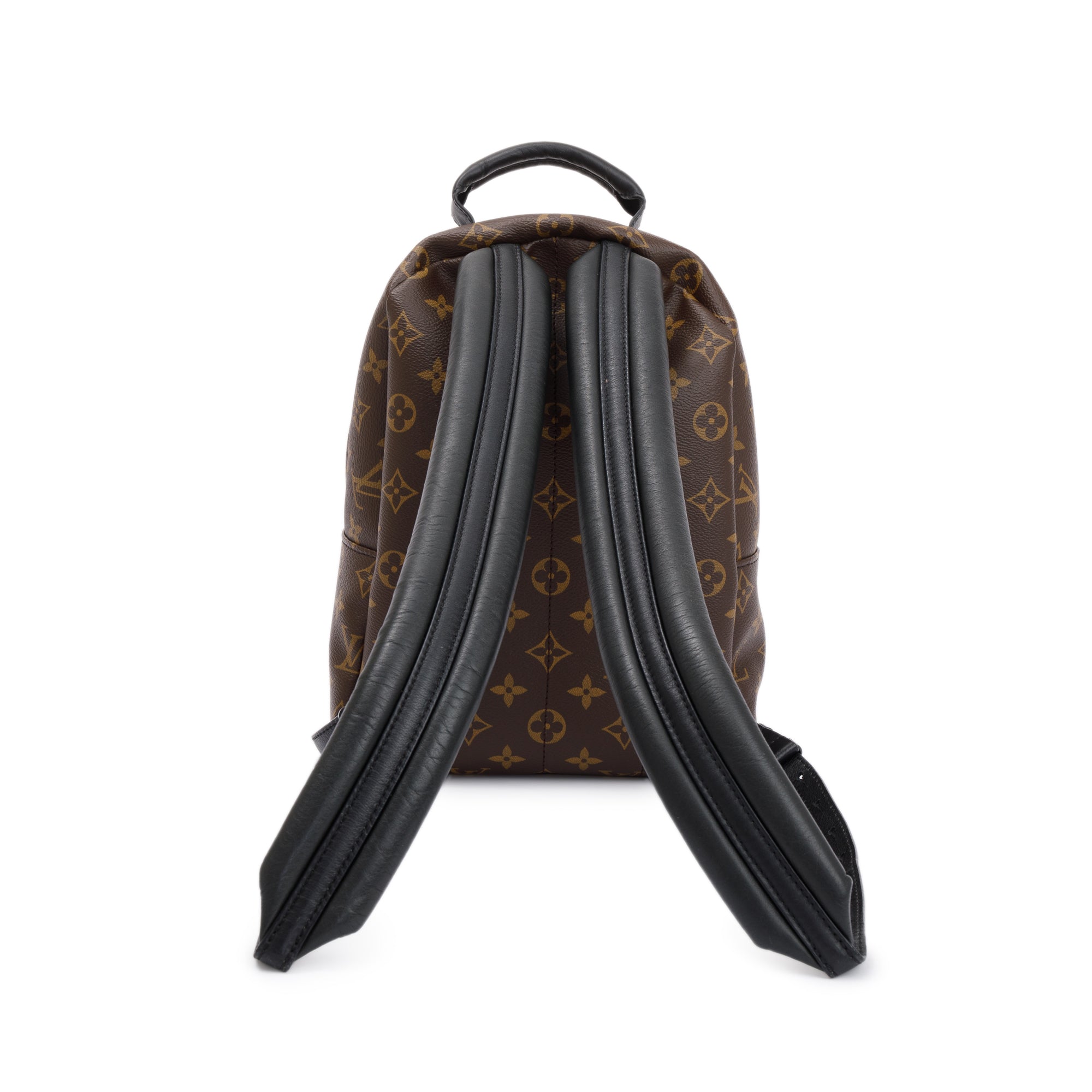 Louis Vuitton Monogram Palm Springs Backpack PM