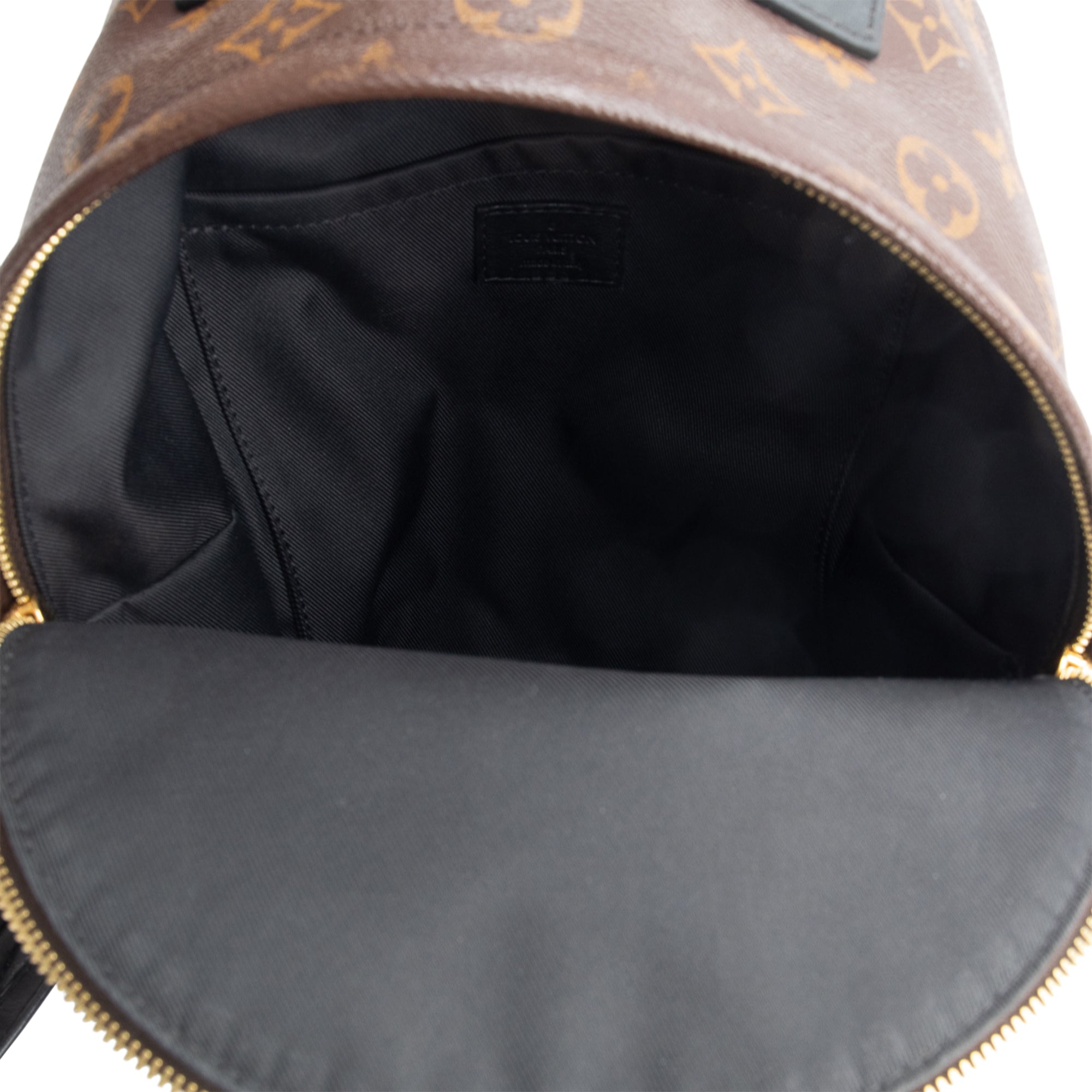 Louis Vuitton Monogram Palm Springs Backpack PM