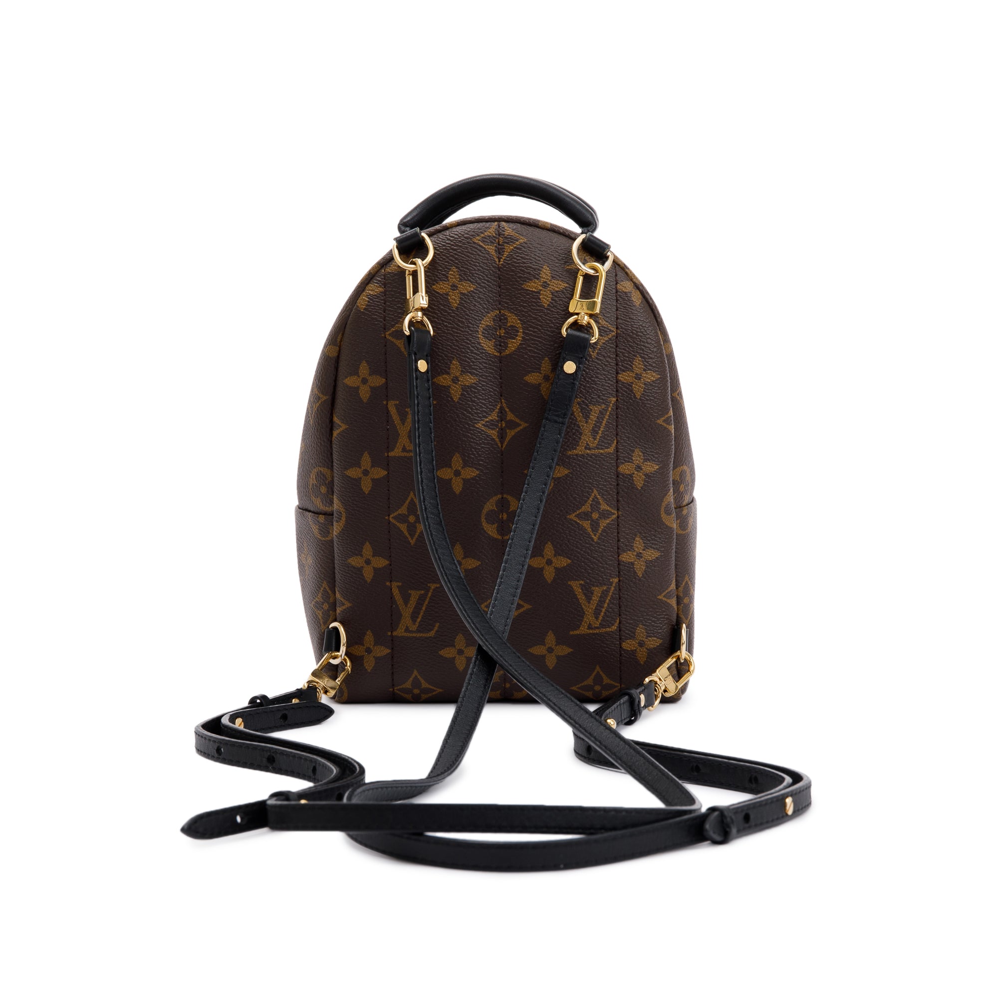 Louis Vuitton Monogram Palm Springs Mini Backpack