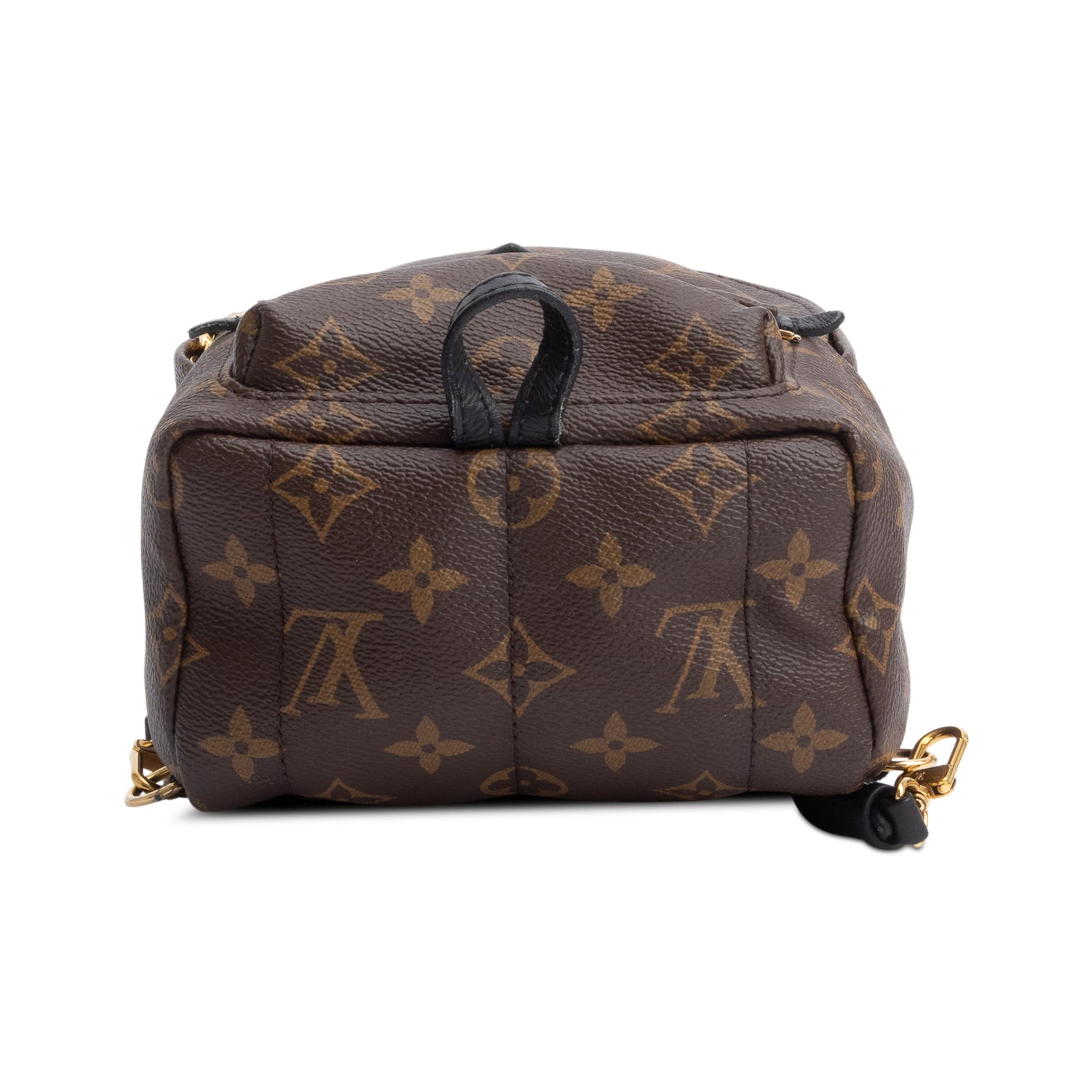 Louis Vuitton Monogram Palm Springs Mini Backpack