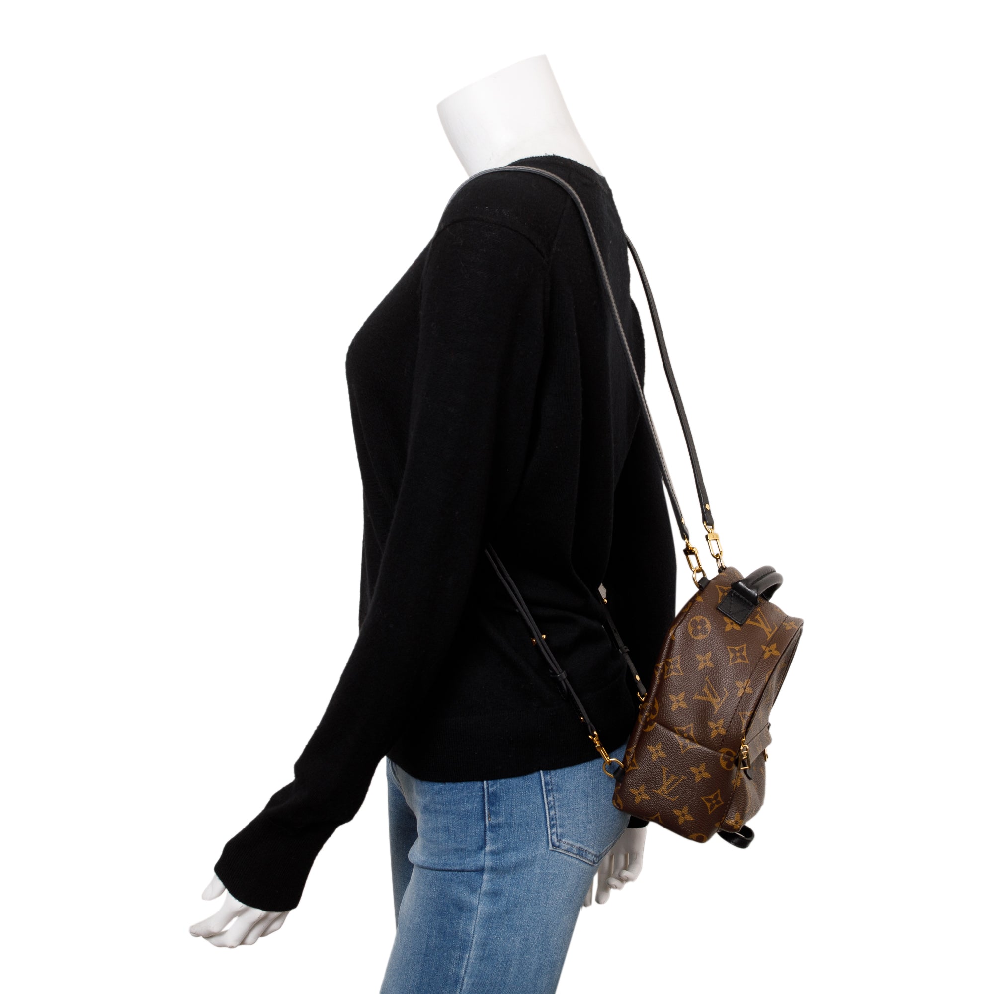 Louis Vuitton Monogram Palm Springs Mini Backpack w/ Box