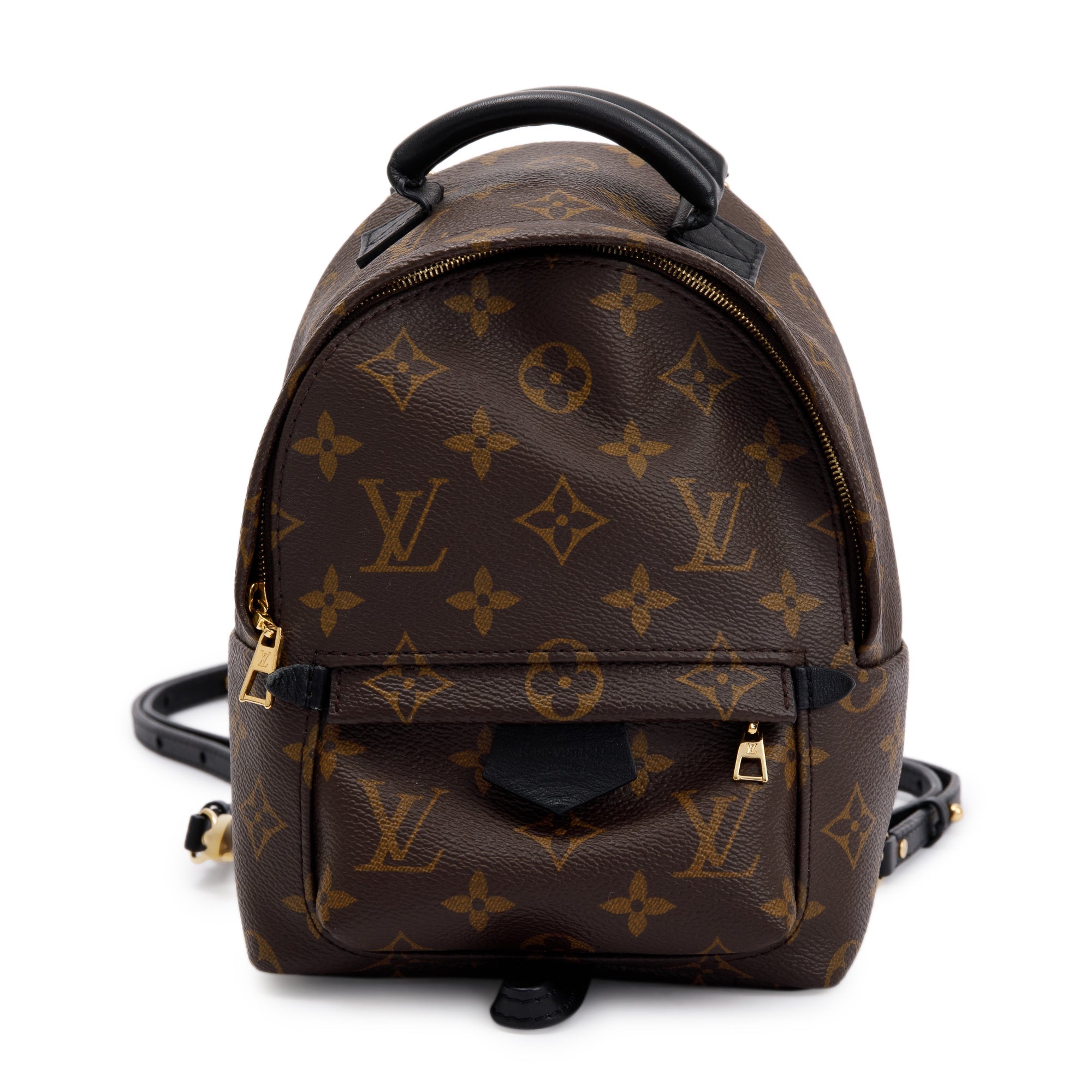 Louis Vuitton Monogram Palm Springs Mini Backpack
