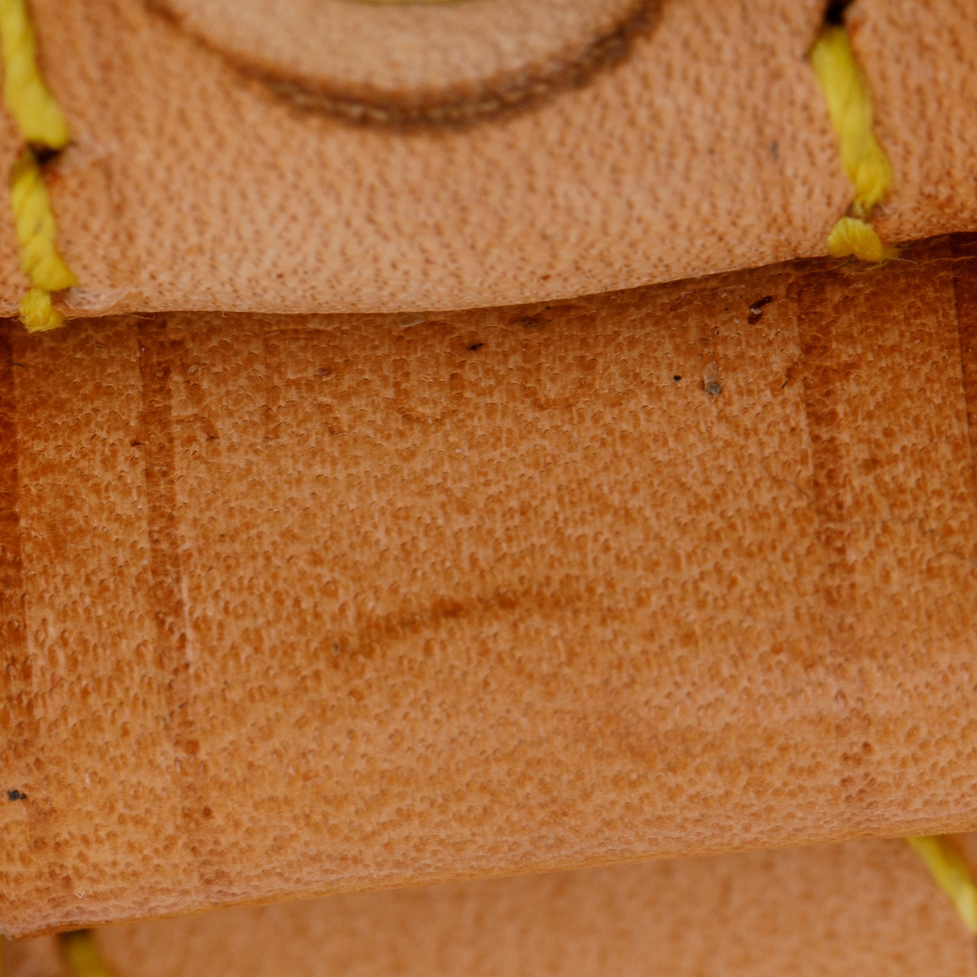 Louis Vuitton Monogram Petit Noe Bag